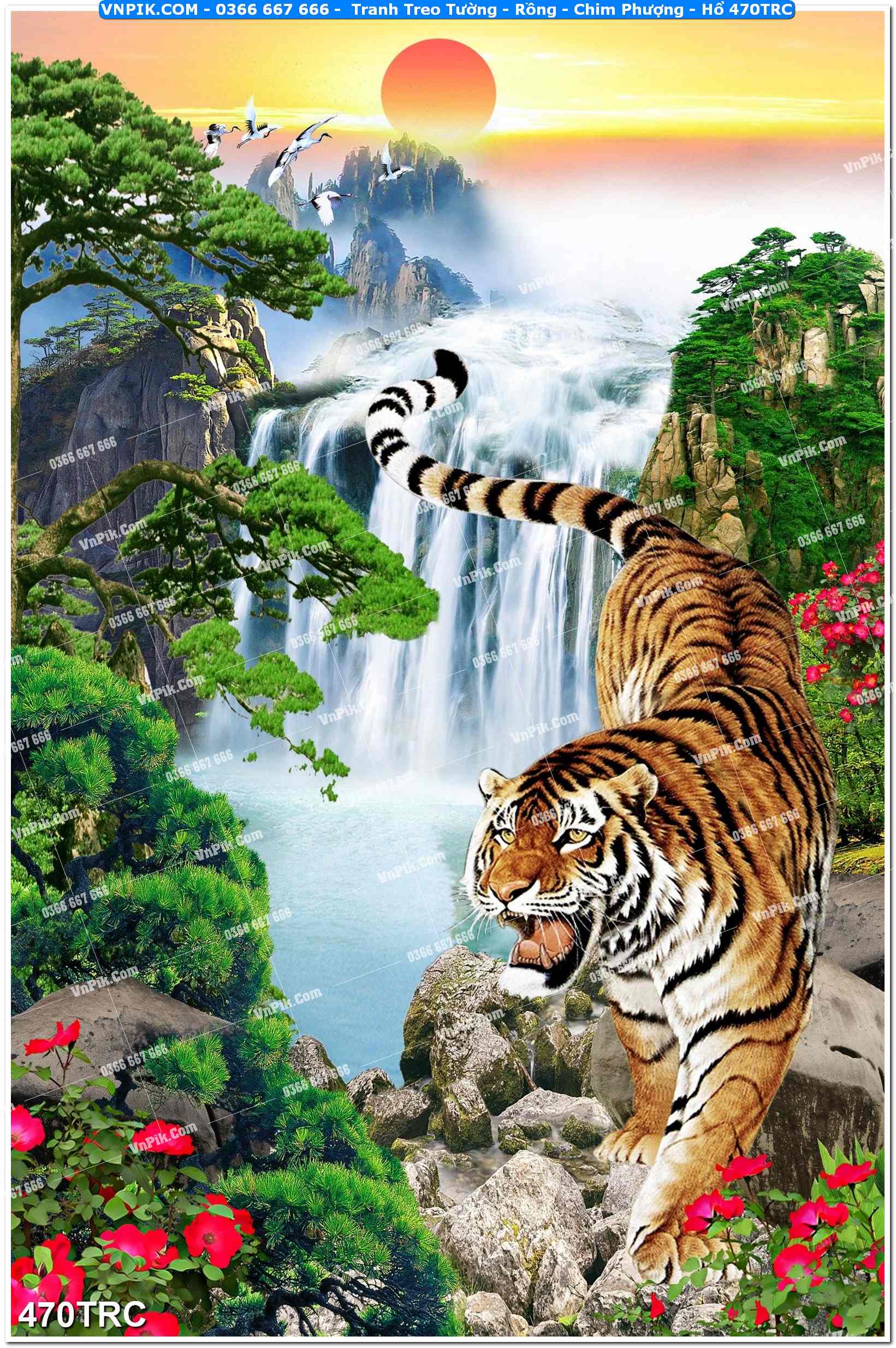 Tranh Treo Tường – Rồng – Chim Phượng – Hổ 470TRC