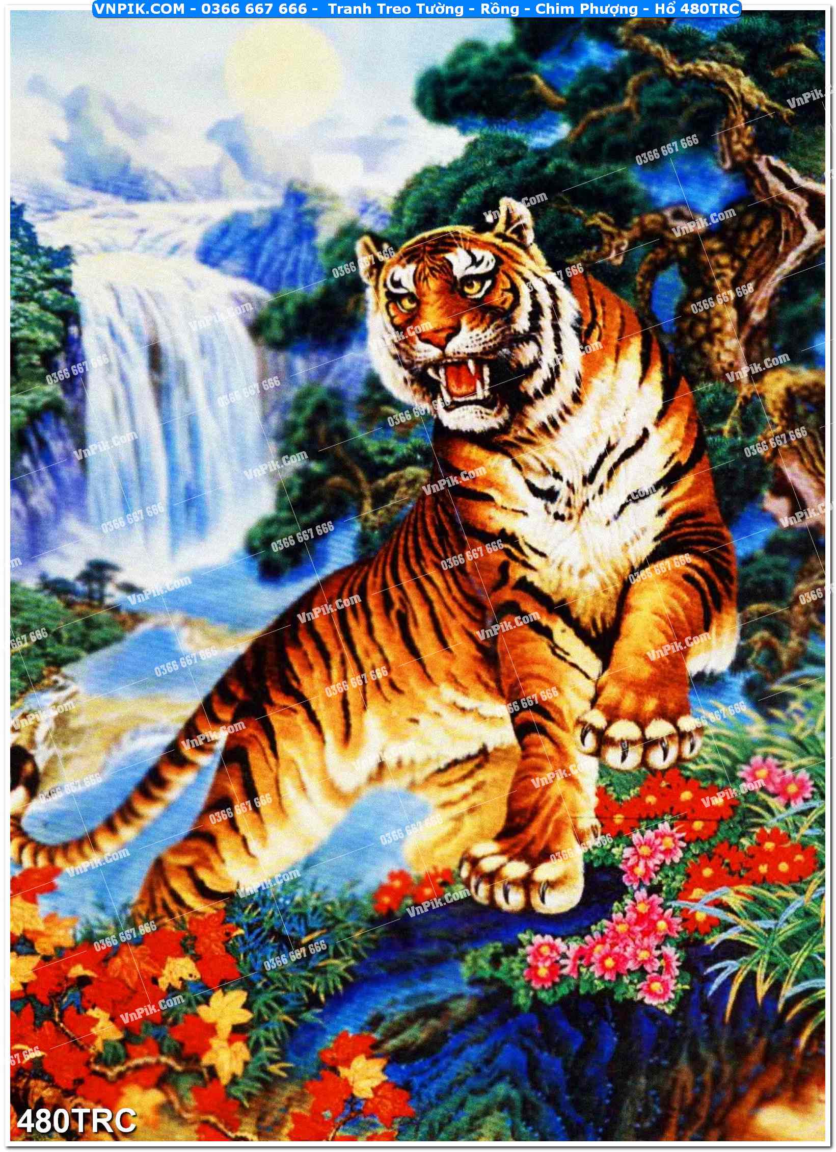 Tranh Treo Tường – Rồng – Chim Phượng – Hổ 480TRC