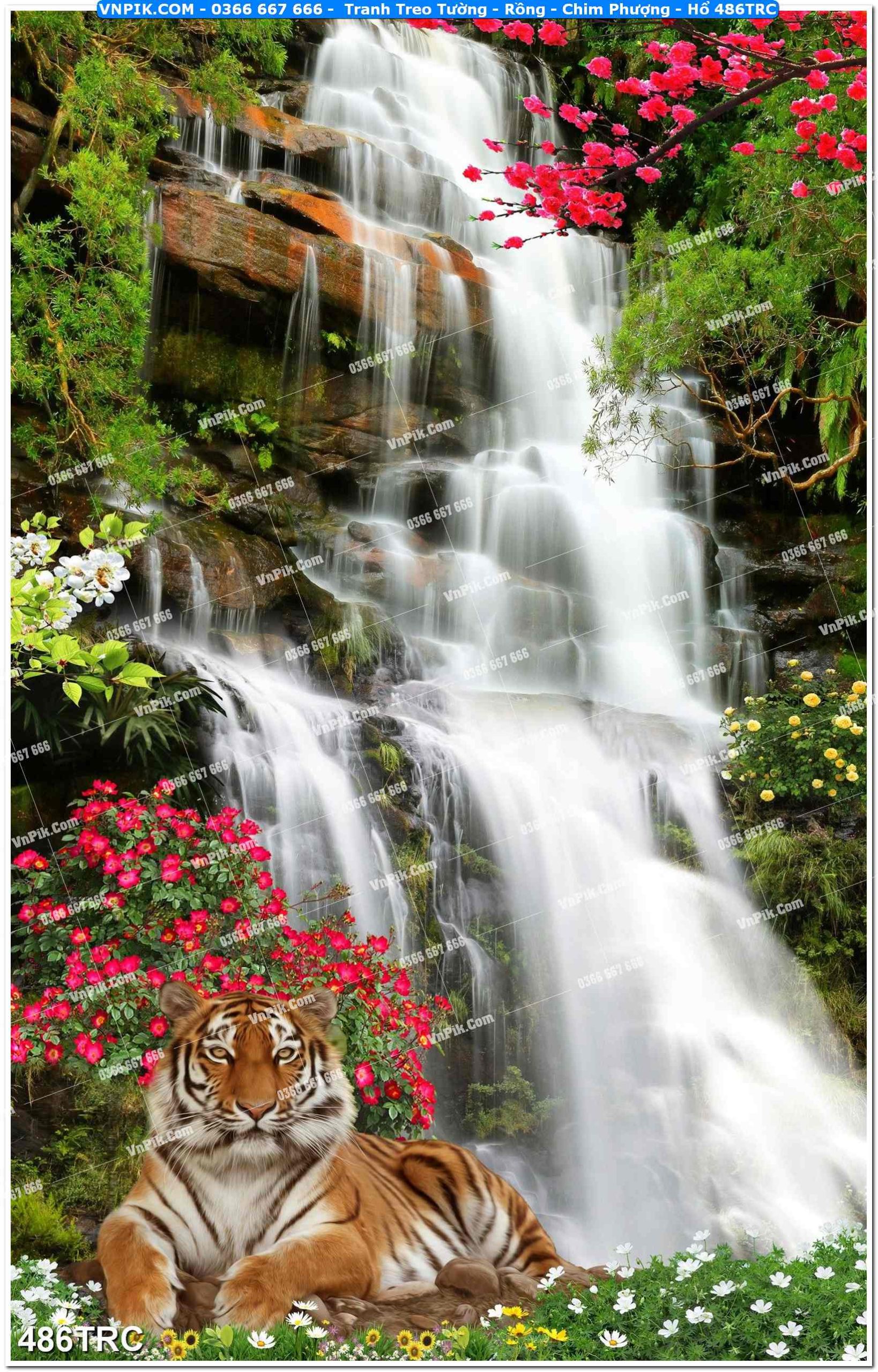 Tranh Treo Tường – Rồng – Chim Phượng – Hổ 486TRC