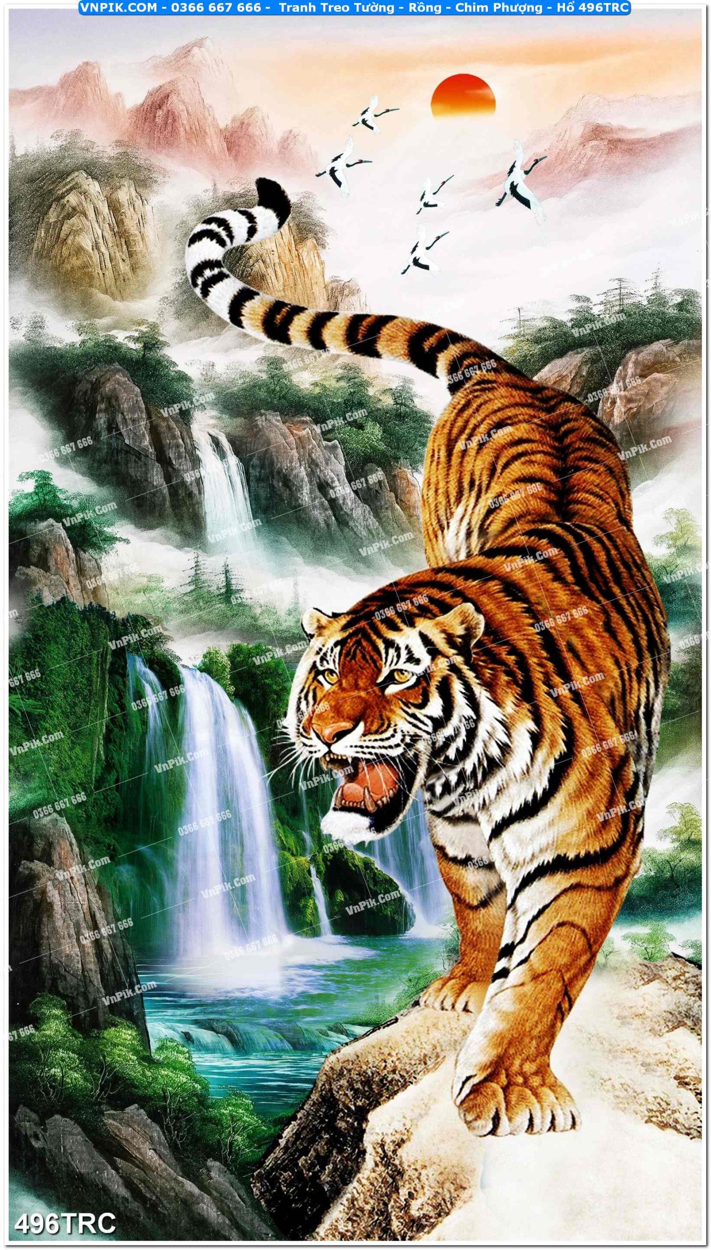 Tranh Treo Tường – Rồng – Chim Phượng – Hổ 496TRC