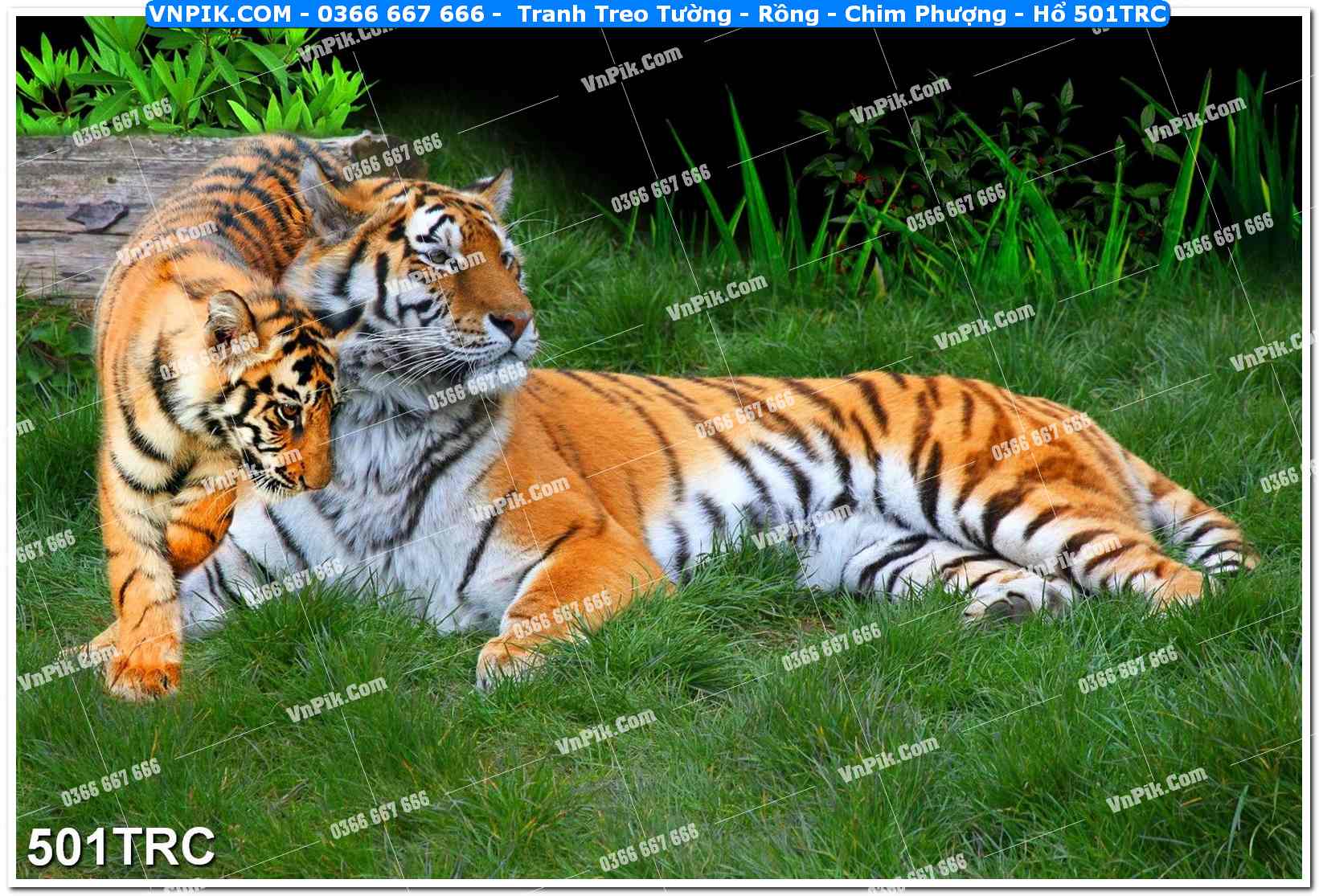 Tranh Treo Tường – Rồng – Chim Phượng – Hổ 501TRC