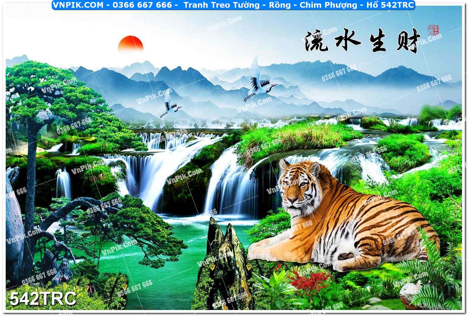 Tranh Treo Tường – Rồng – Chim Phượng – Hổ 542TRC