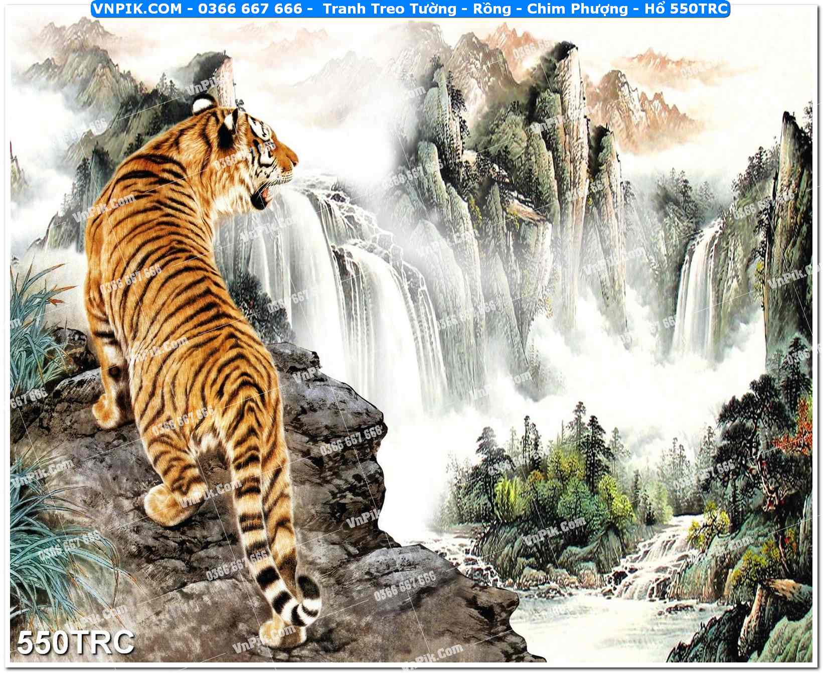 Tranh Treo Tường – Rồng – Chim Phượng – Hổ 550TRC