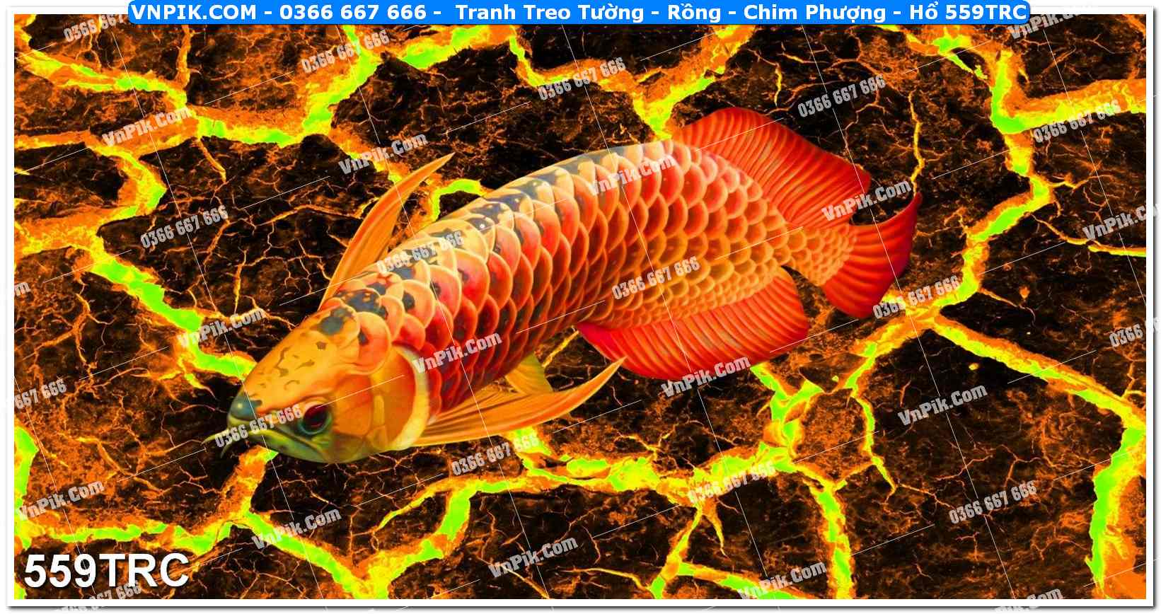 Tranh Treo Tường – Rồng – Chim Phượng – Hổ 559TRC