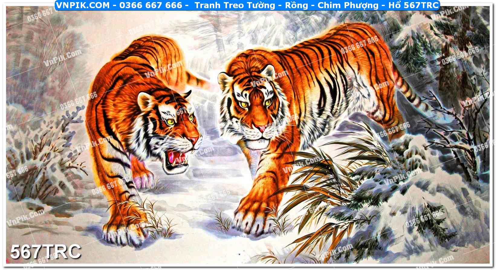 Tranh Treo Tường – Rồng – Chim Phượng – Hổ 567TRC