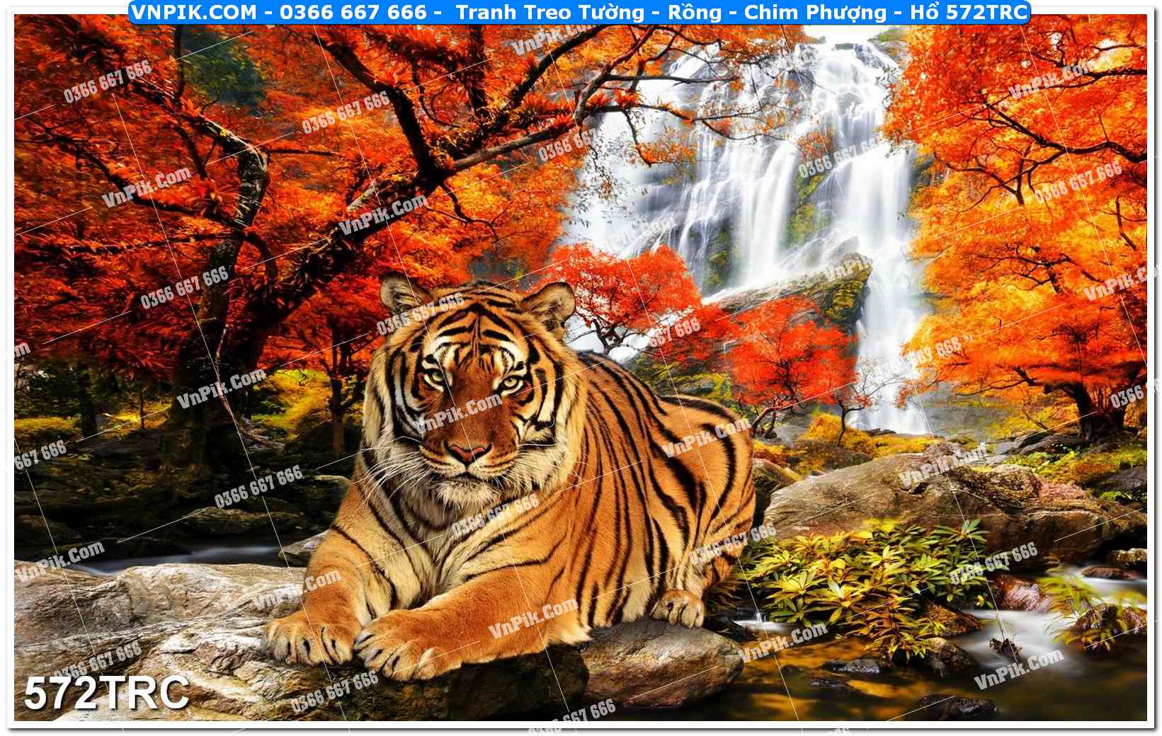 Tranh Treo Tường – Rồng – Chim Phượng – Hổ 572TRC