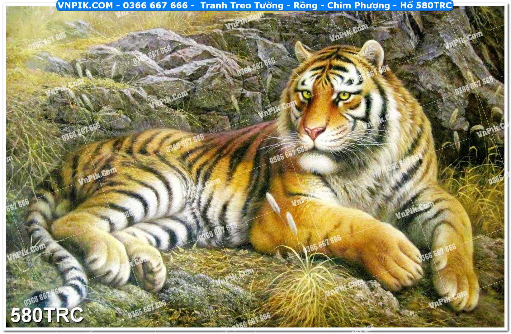 Tranh Treo Tường – Rồng – Chim Phượng – Hổ 580TRC