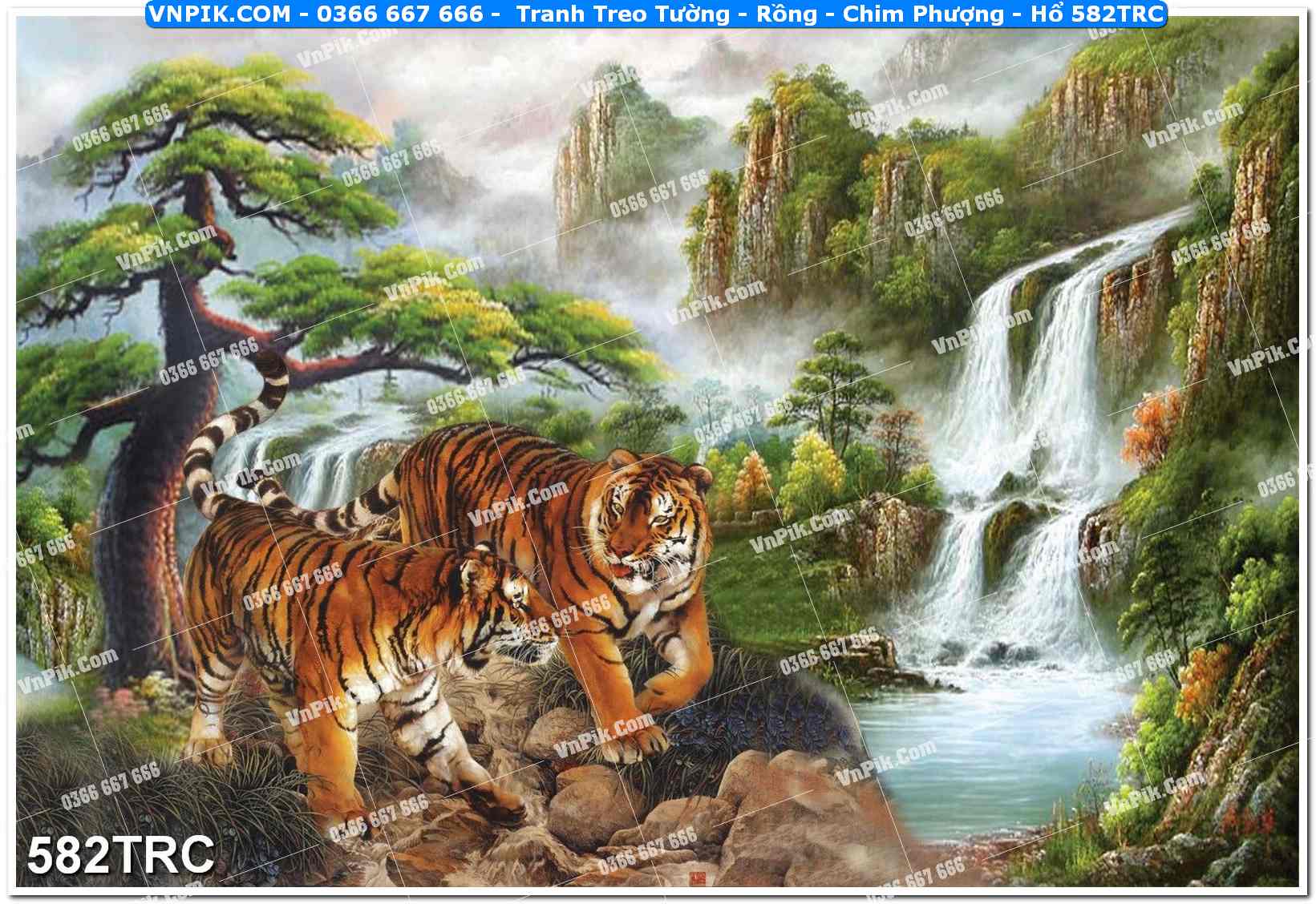 Tranh Treo Tường – Rồng – Chim Phượng – Hổ 582TRC