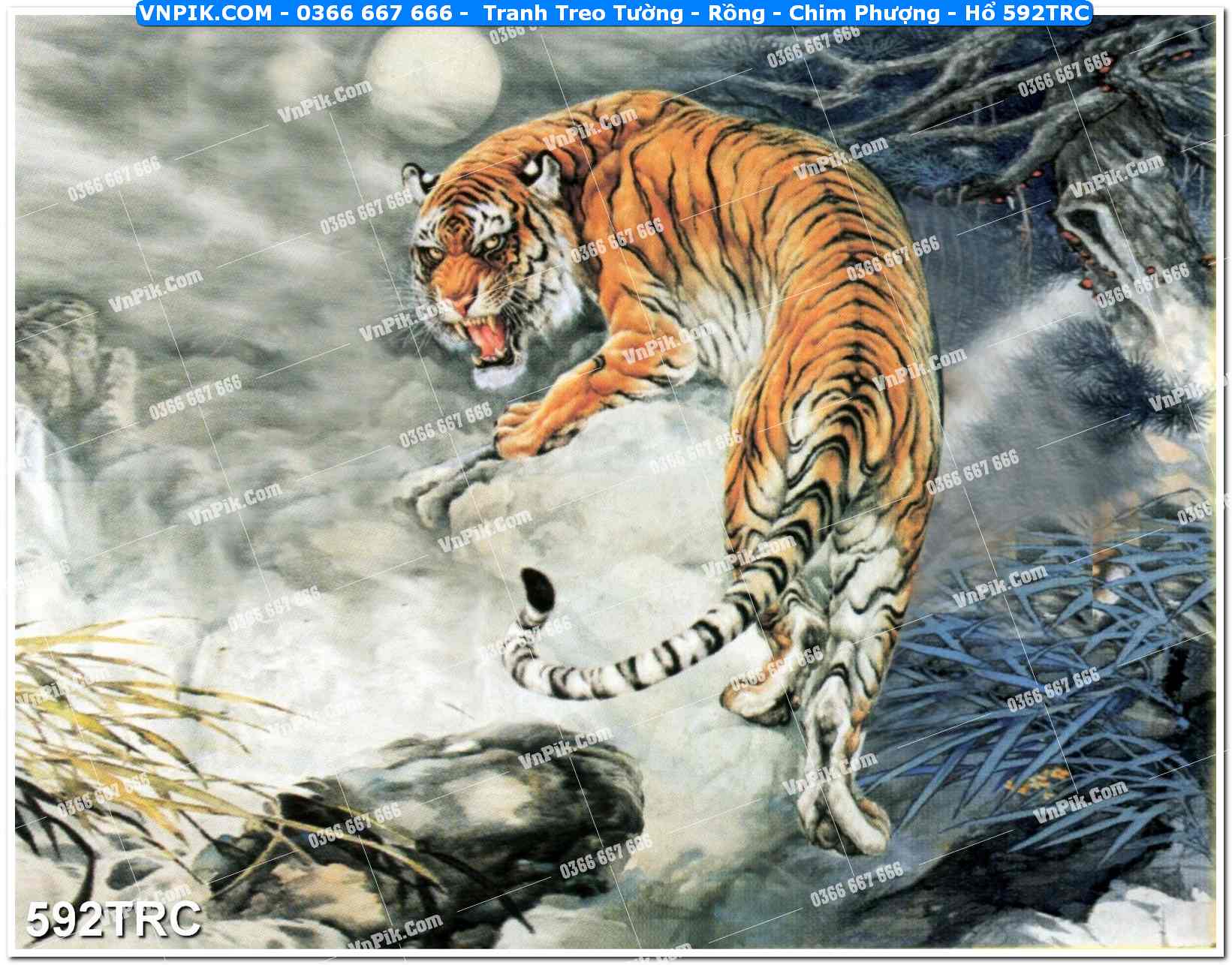 Tranh Treo Tường – Rồng – Chim Phượng – Hổ 592TRC