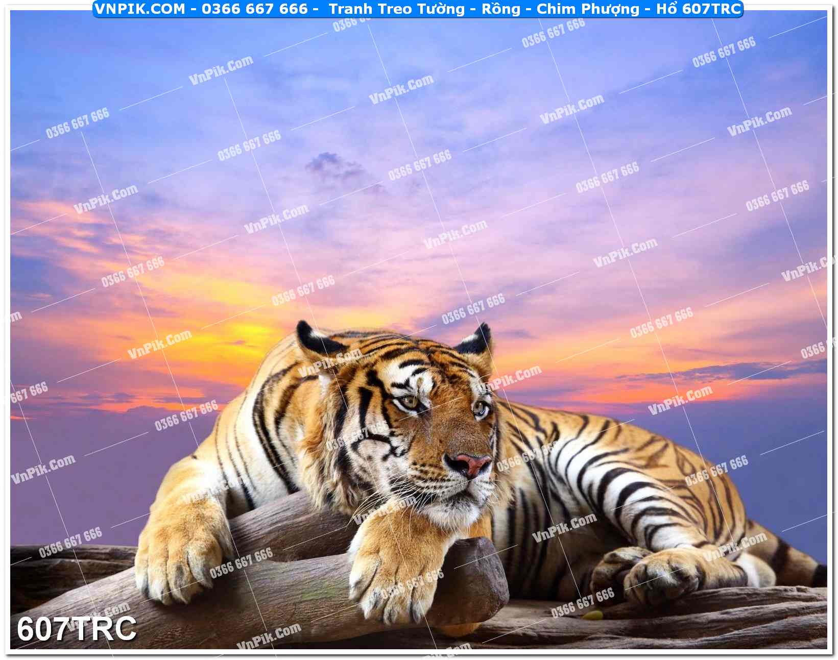 Tranh Treo Tường – Rồng – Chim Phượng – Hổ 607TRC