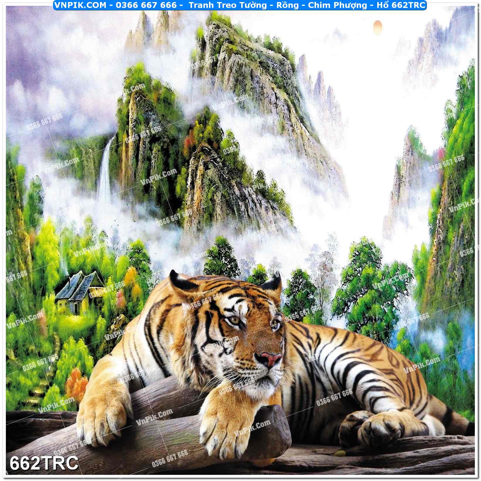 Tranh Treo Tường – Rồng – Chim Phượng – Hổ 662TRC