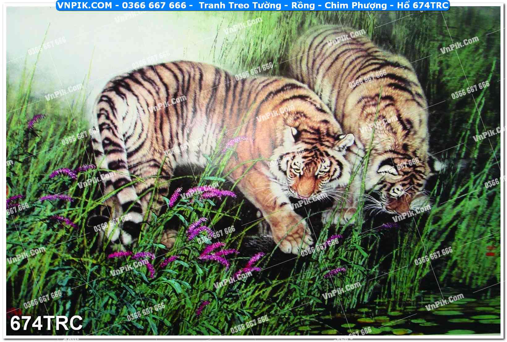 Tranh Treo Tường – Rồng – Chim Phượng – Hổ 674TRC