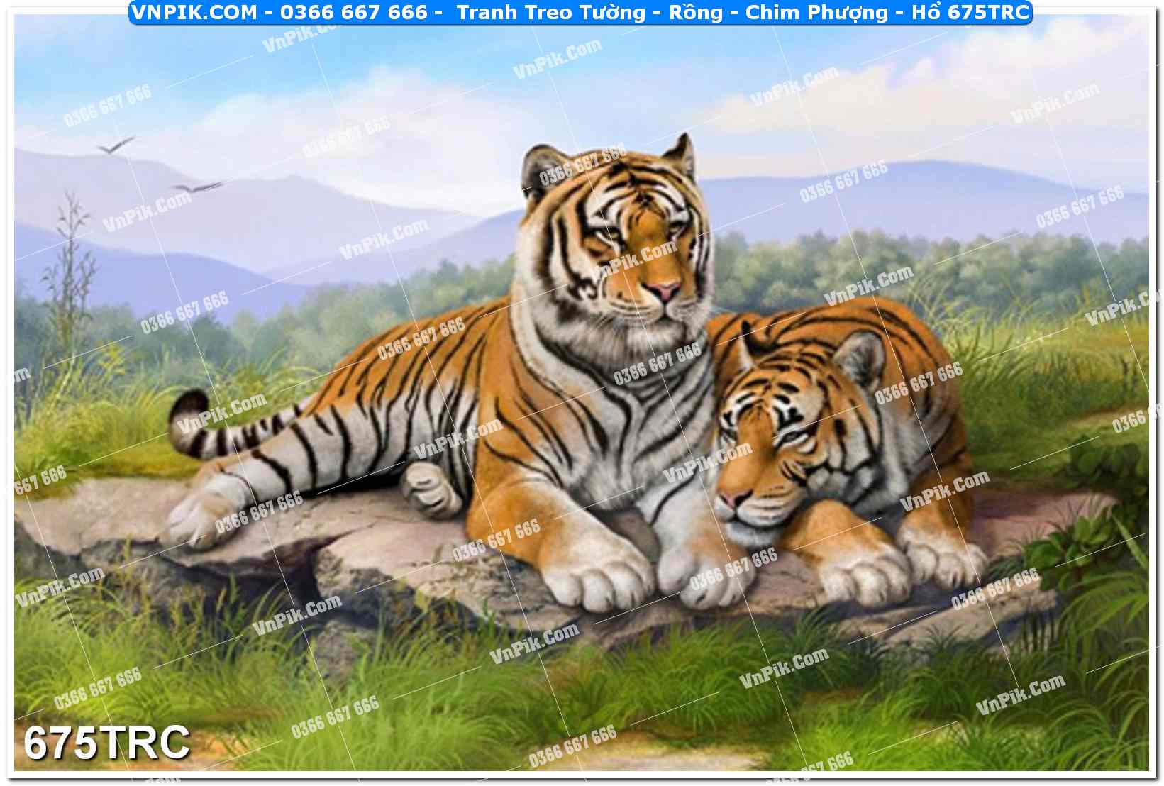 Tranh Treo Tường – Rồng – Chim Phượng – Hổ 675TRC