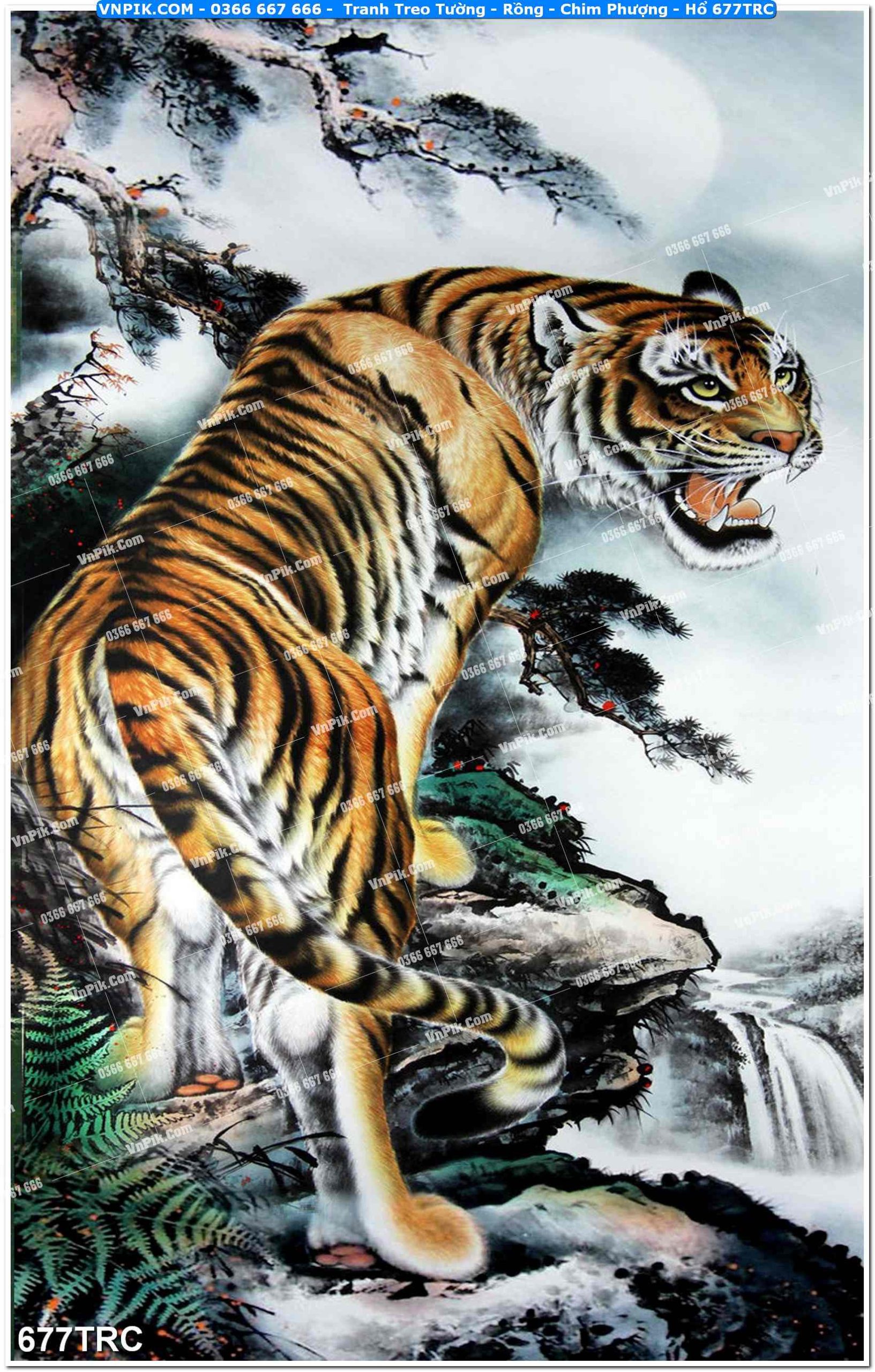 Tranh Treo Tường – Rồng – Chim Phượng – Hổ 677TRC