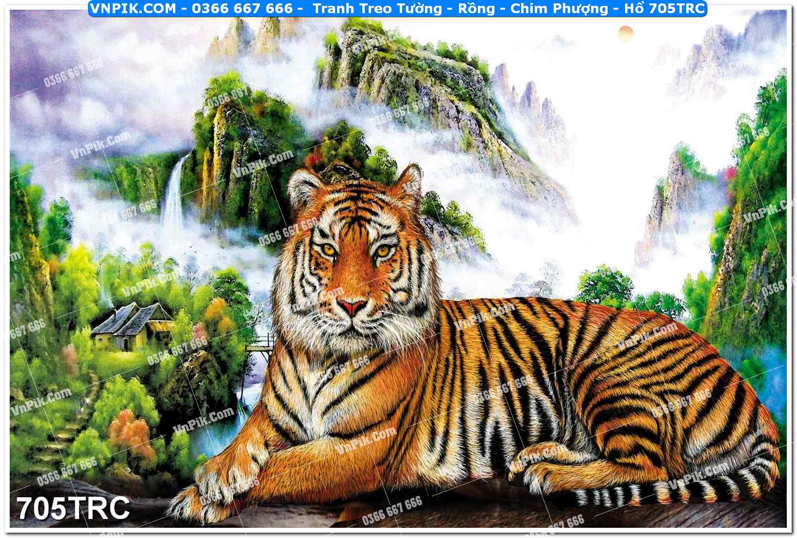 Tranh Treo Tường – Rồng – Chim Phượng – Hổ 705TRC