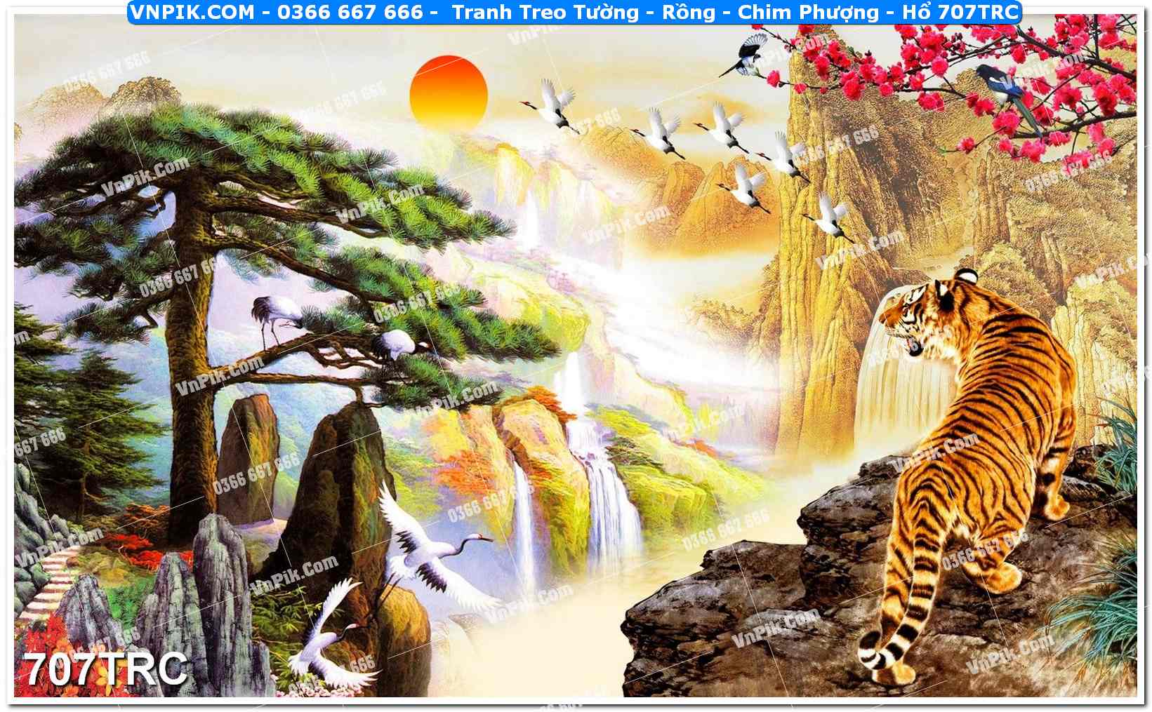 Tranh Treo Tường – Rồng – Chim Phượng – Hổ 707TRC