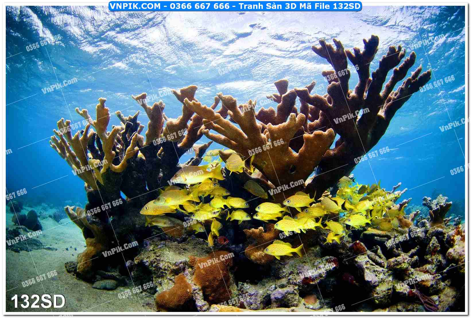 Tranh Sàn 3D Mã File 132SD