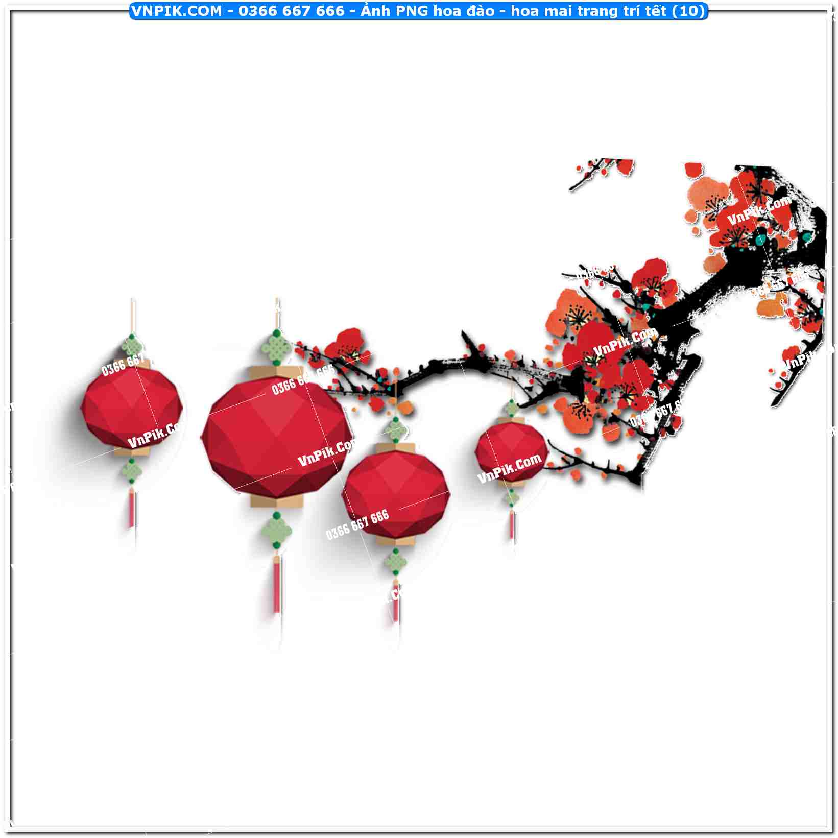 Ảnh PNG hoa đào – hoa mai trang trí tết (10)