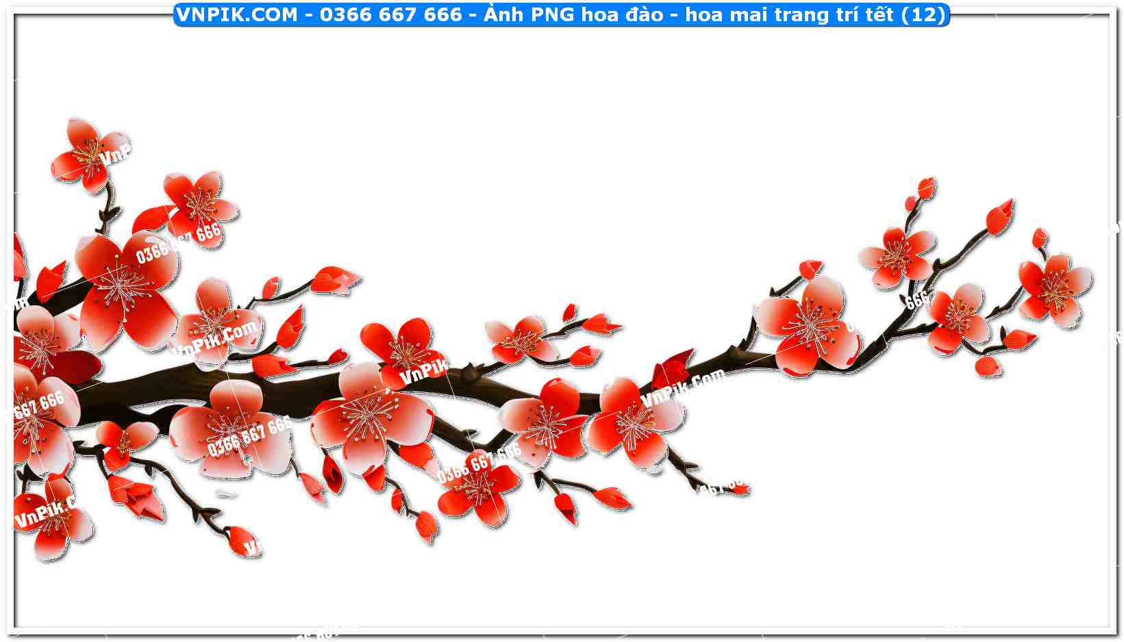 Ảnh PNG hoa đào – hoa mai trang trí tết (12)