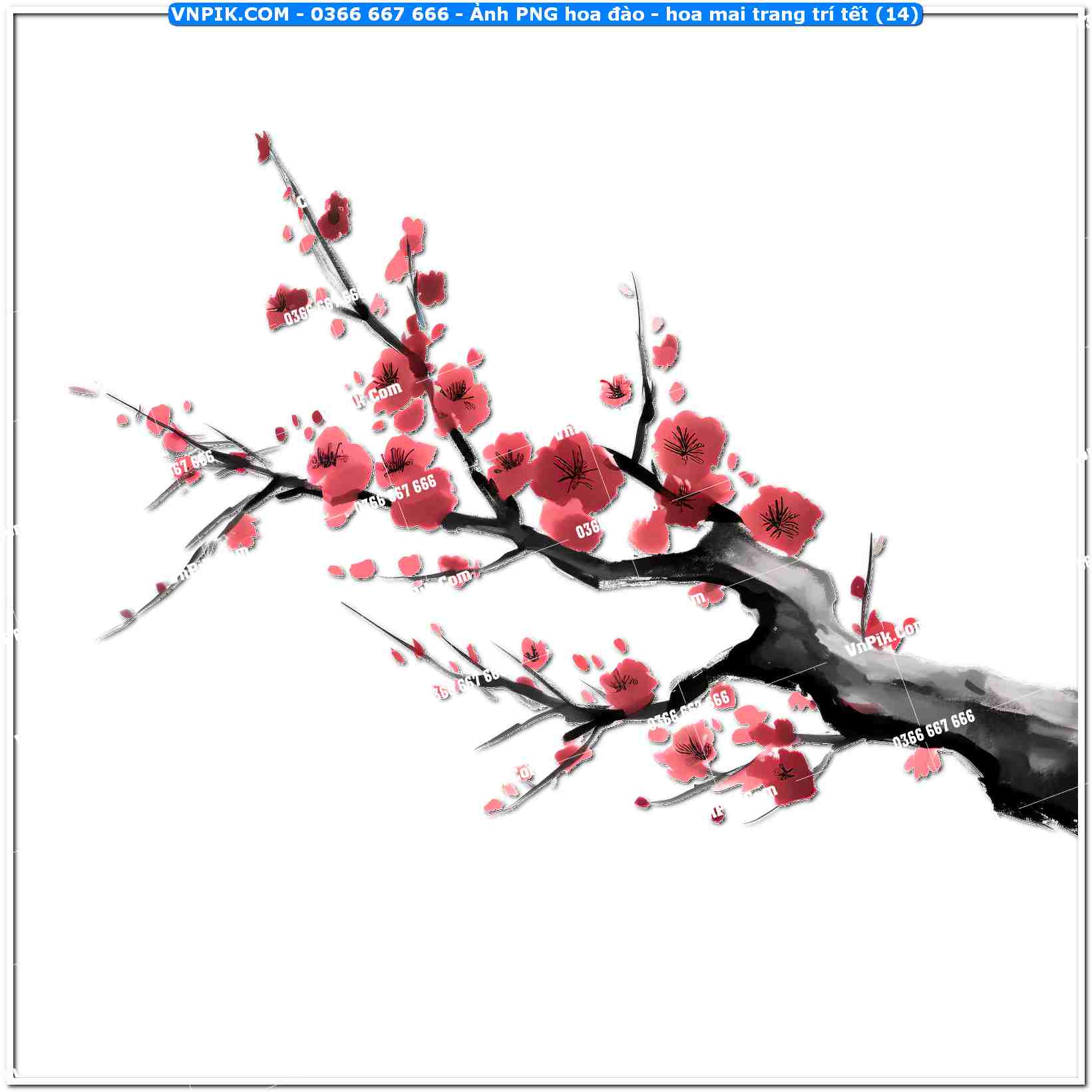 Ảnh PNG hoa đào – hoa mai trang trí tết (14)