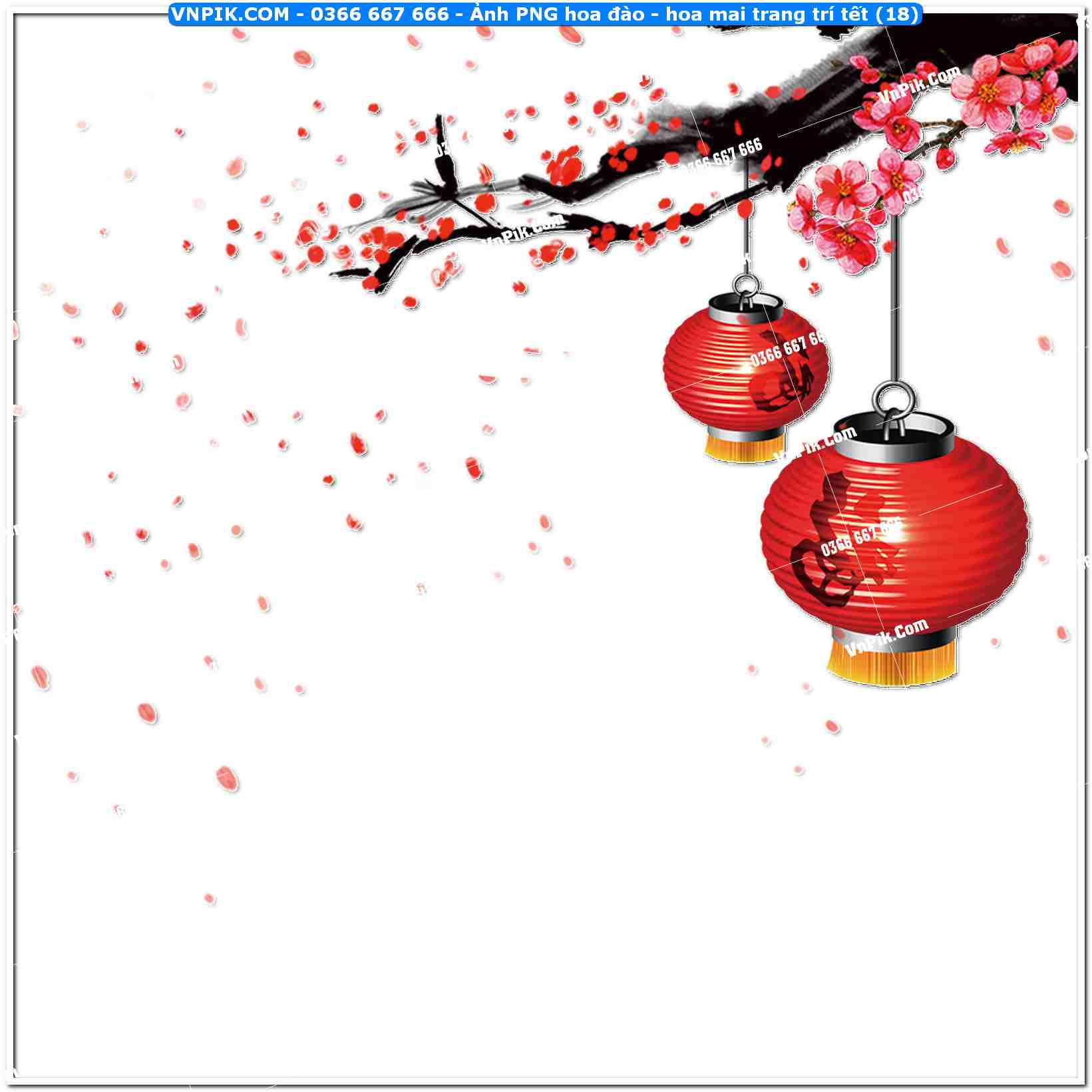Ảnh PNG hoa đào – hoa mai trang trí tết (18)