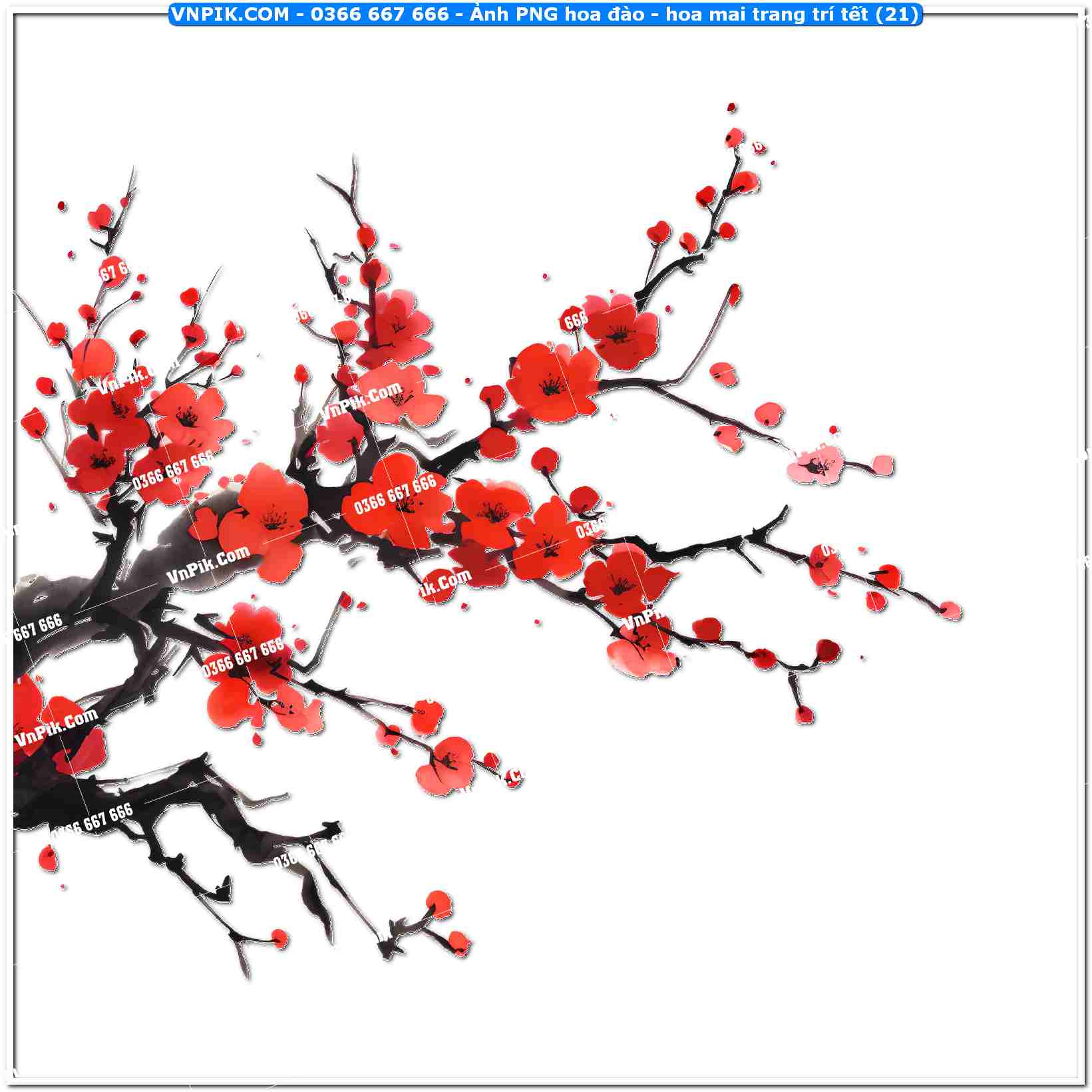 Ảnh PNG hoa đào – hoa mai trang trí tết (21)