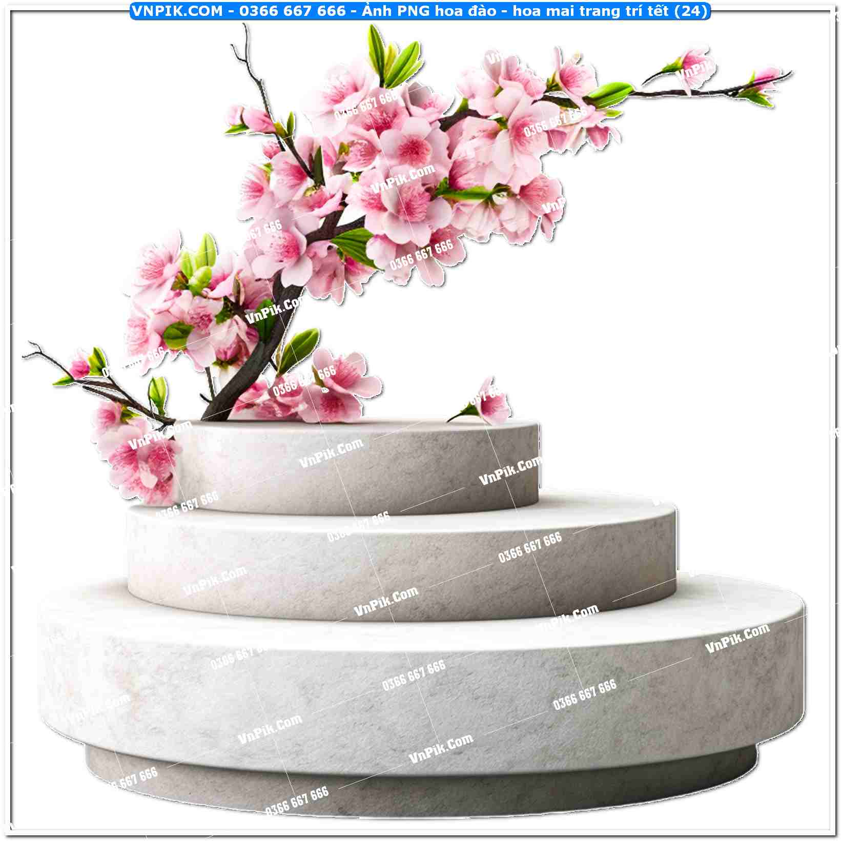 Ảnh PNG hoa đào – hoa mai trang trí tết (24)