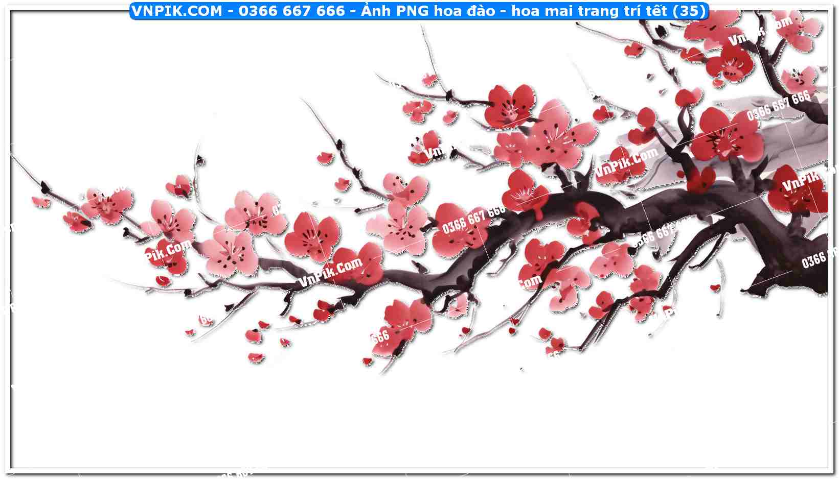 Ảnh PNG hoa đào – hoa mai trang trí tết (35)