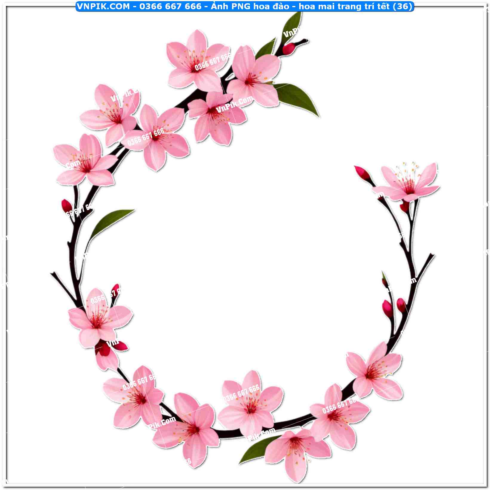 Ảnh PNG hoa đào – hoa mai trang trí tết (36)