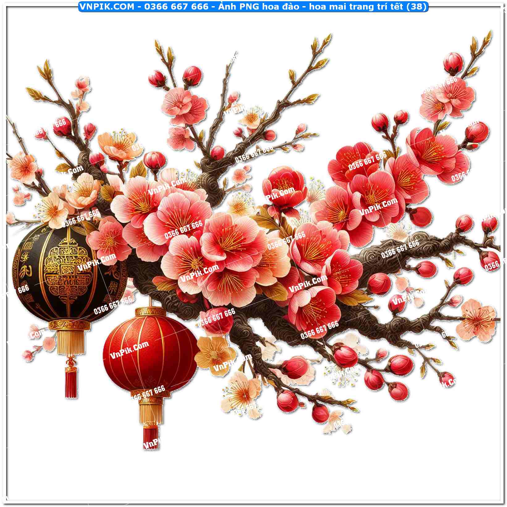Ảnh PNG hoa đào – hoa mai trang trí tết (38)