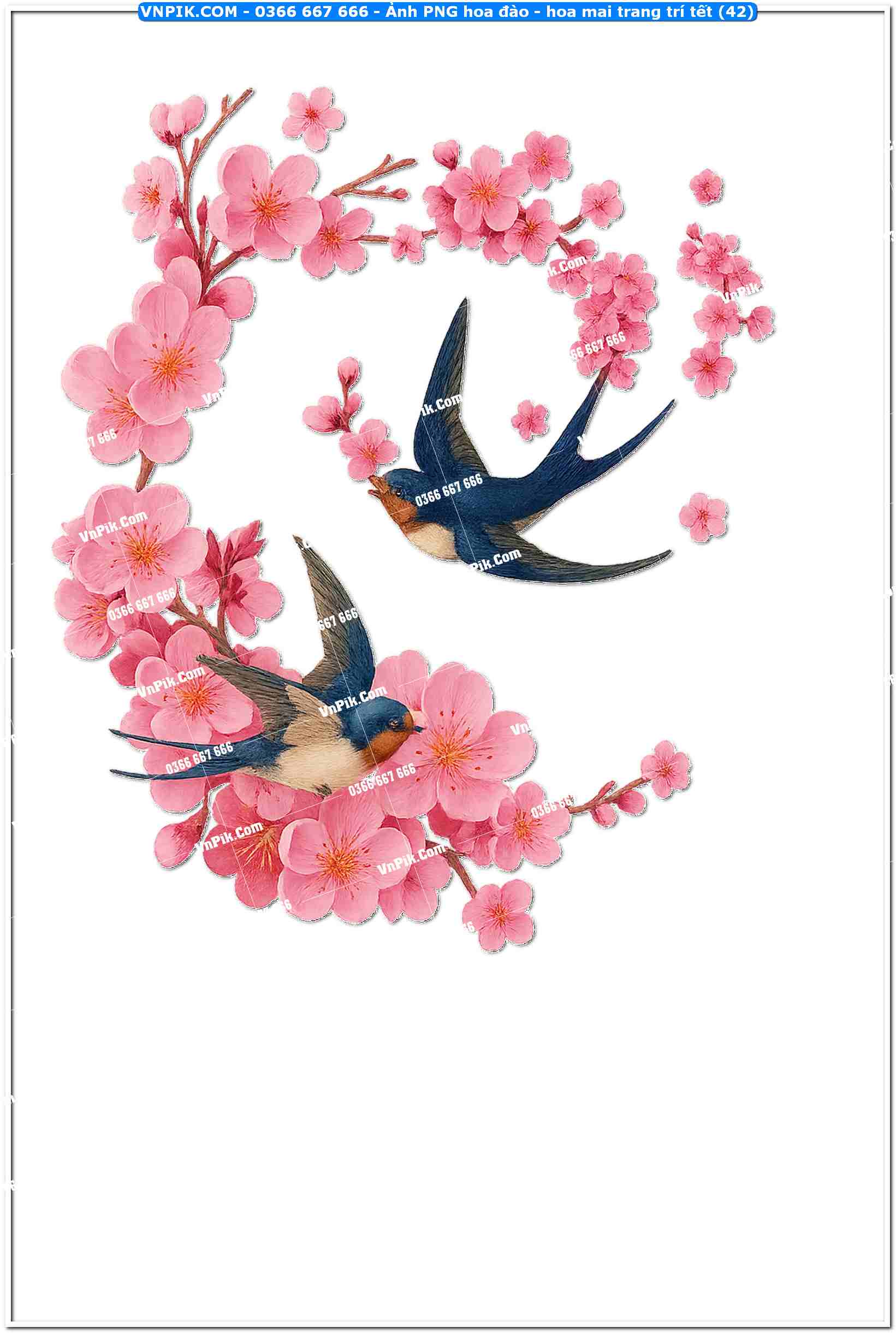 Ảnh PNG hoa đào – hoa mai trang trí tết (42)