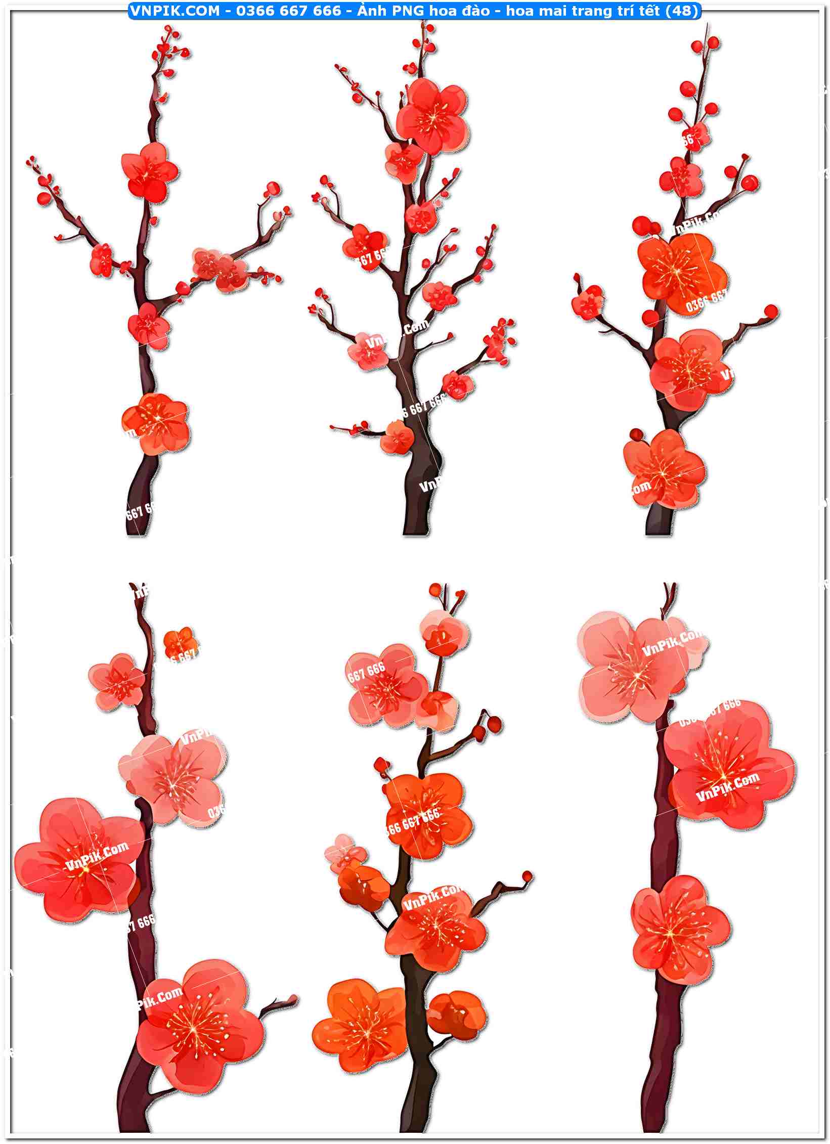 Ảnh PNG hoa đào – hoa mai trang trí tết (48)