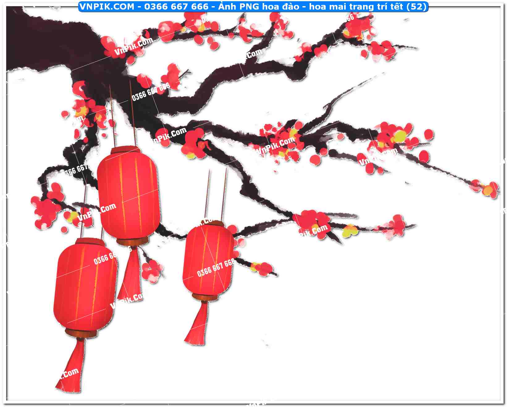 Ảnh PNG hoa đào – hoa mai trang trí tết (52)