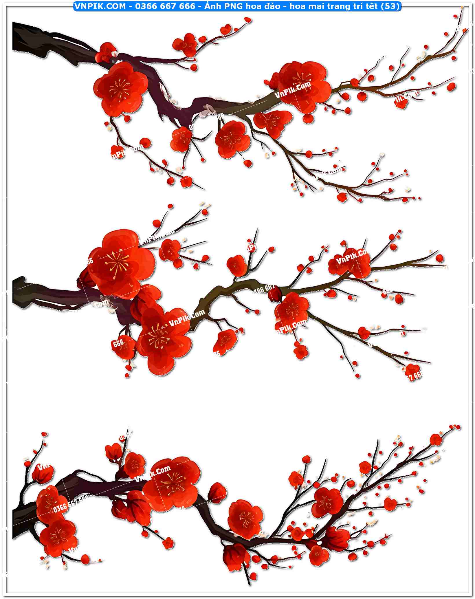 Ảnh PNG hoa đào – hoa mai trang trí tết (53)