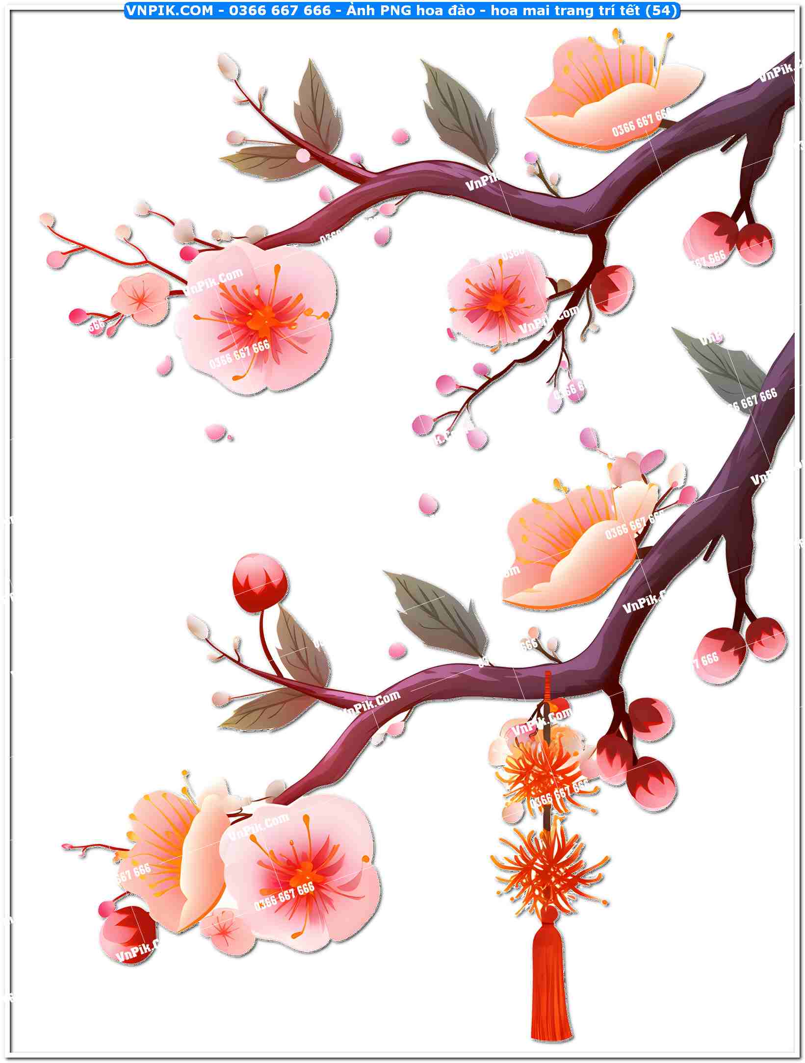 Ảnh PNG hoa đào – hoa mai trang trí tết (54)