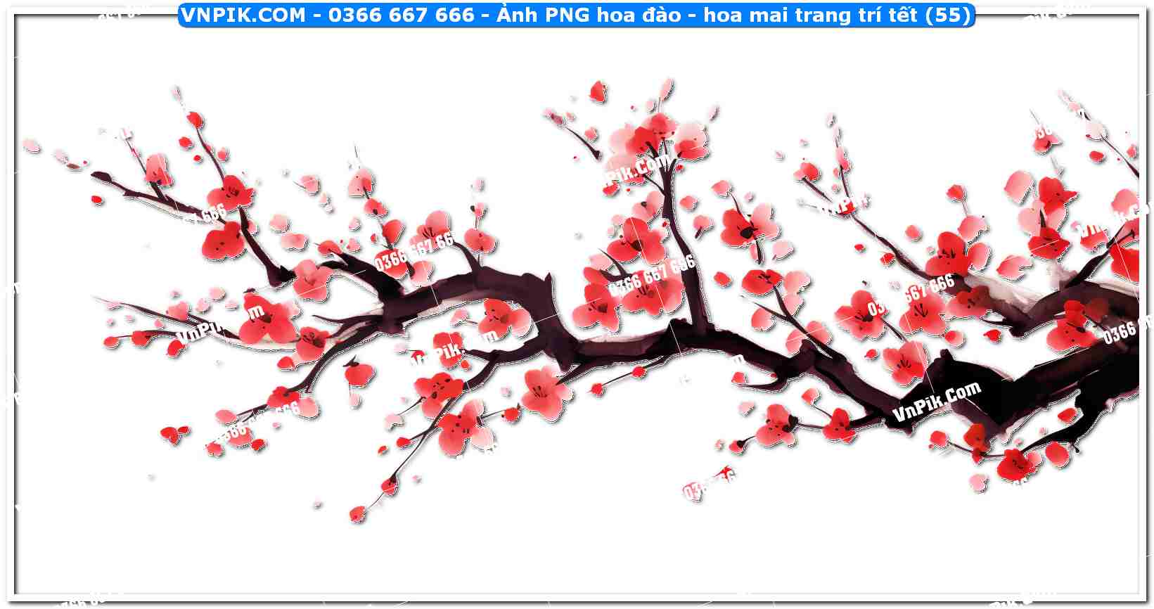 Ảnh PNG hoa đào – hoa mai trang trí tết (55)