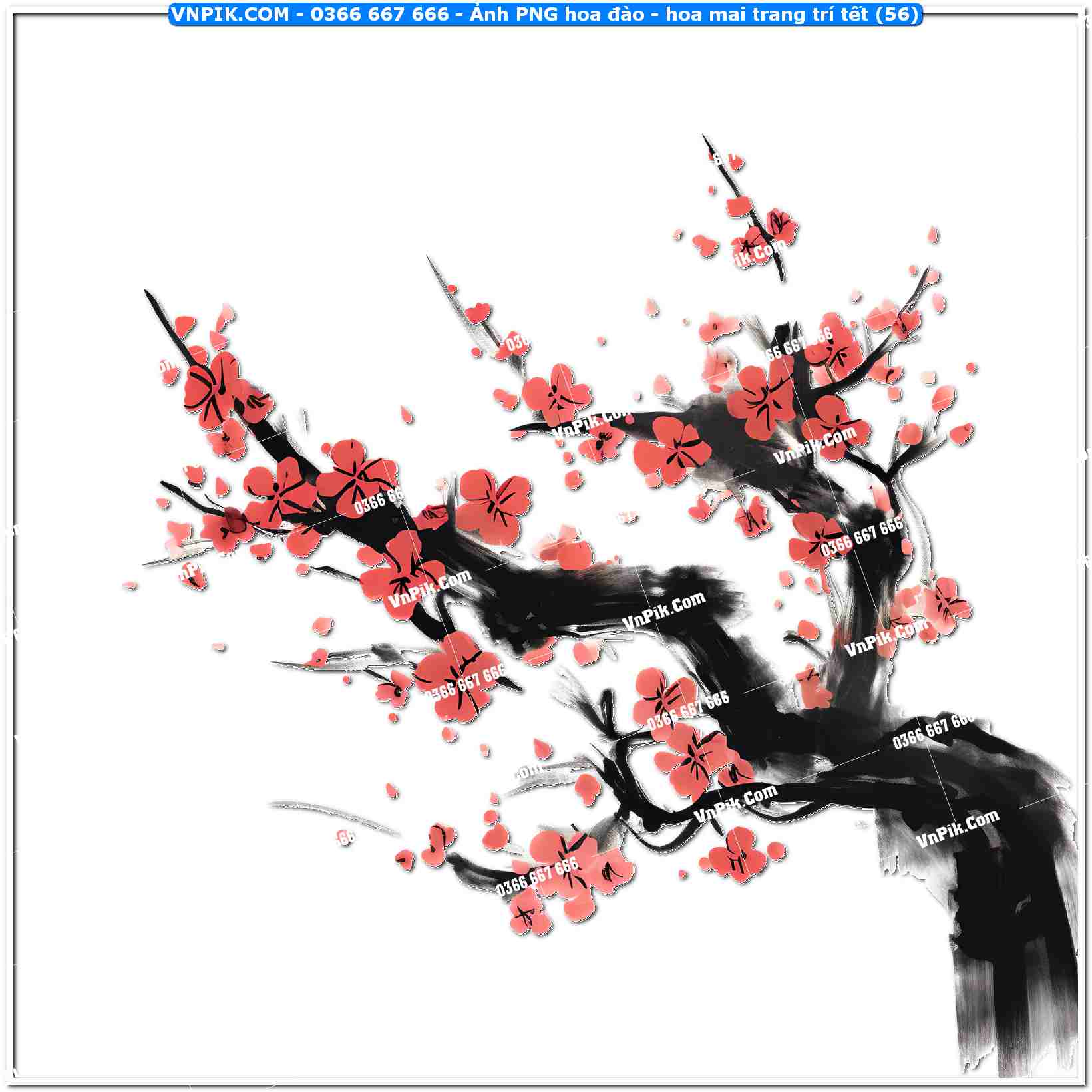 Ảnh PNG hoa đào – hoa mai trang trí tết (56)