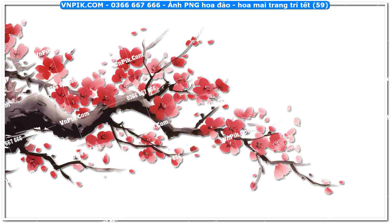 Ảnh PNG hoa đào – hoa mai trang trí tết (59)