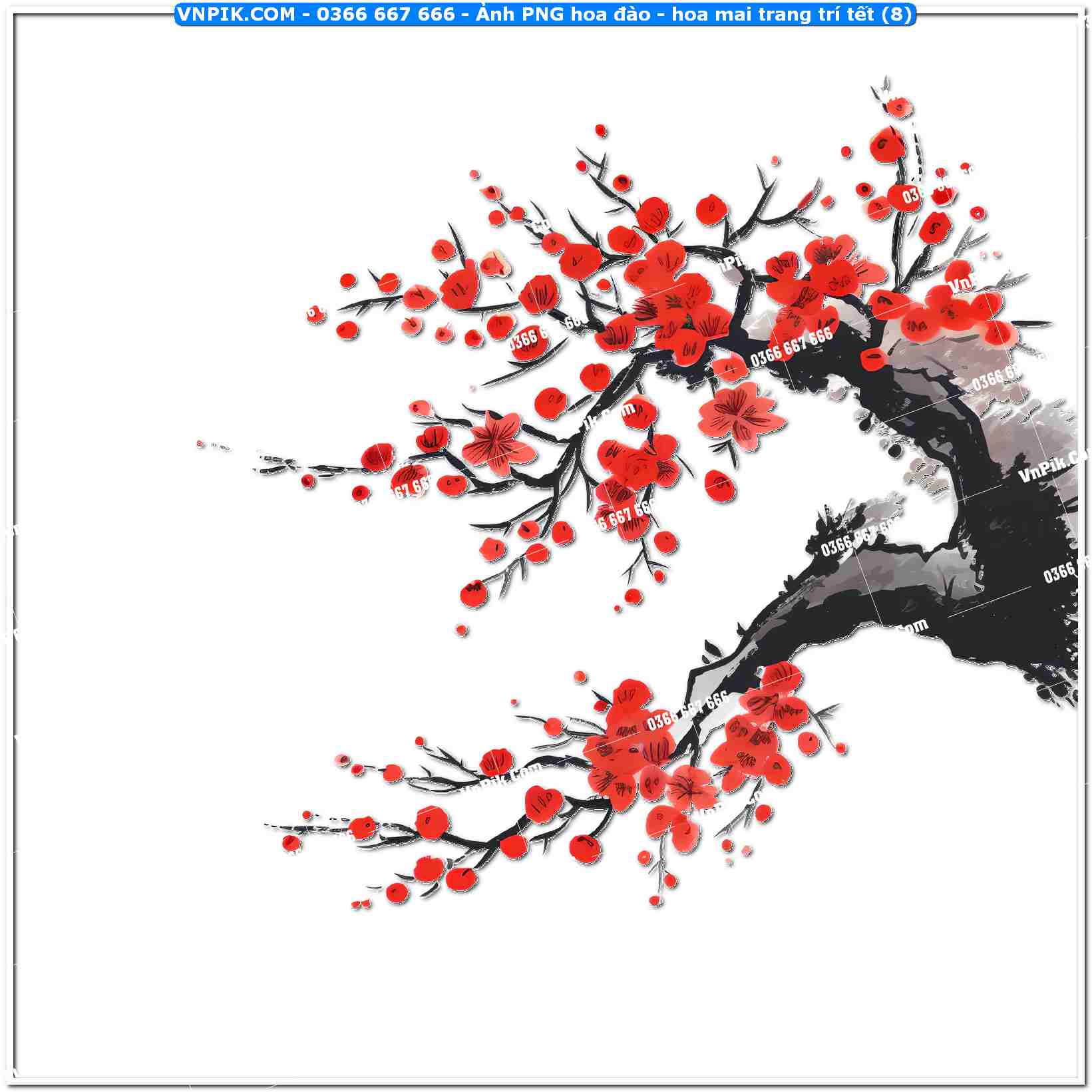 Ảnh PNG hoa đào – hoa mai trang trí tết (8)