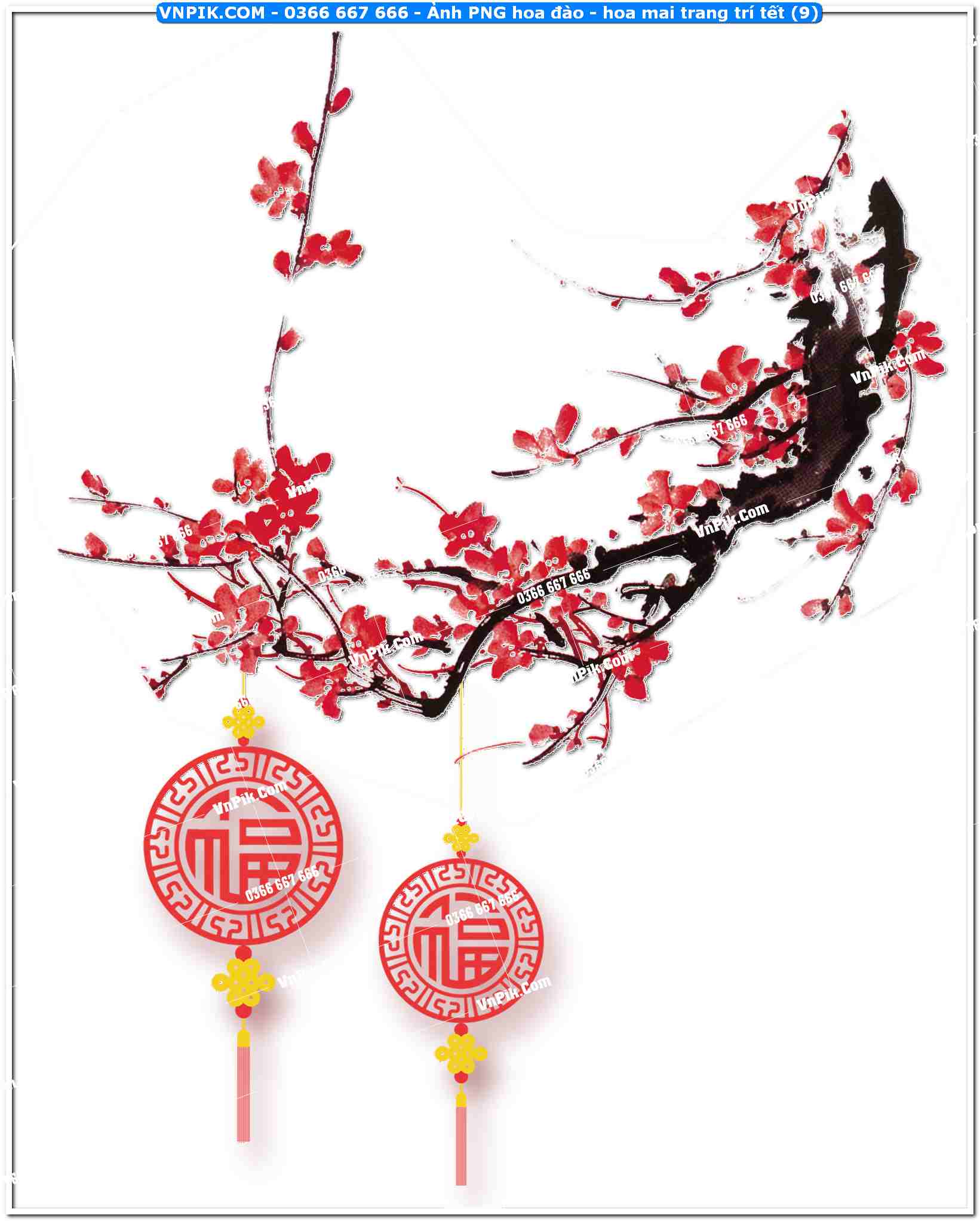 Ảnh PNG hoa đào – hoa mai trang trí tết (9)