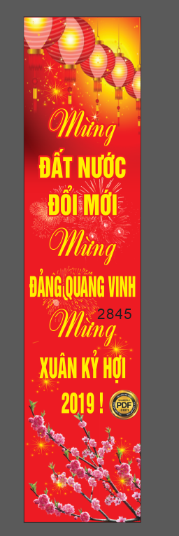 Phướn thả mừng đất nước đổi mới mừng đảng quang vinh