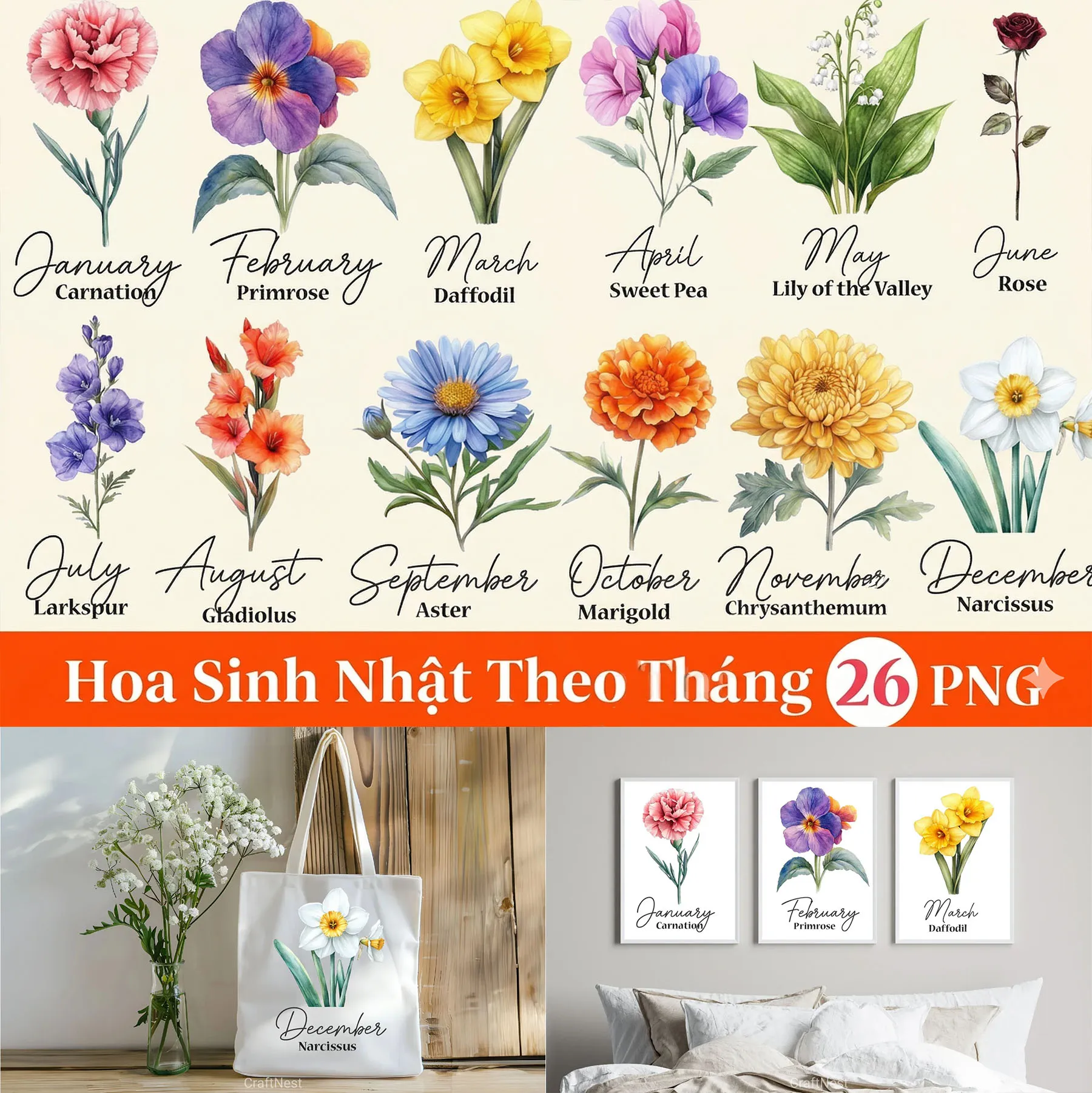 Bộ 26 File PNG Hoa Sinh Nhật Theo Tháng