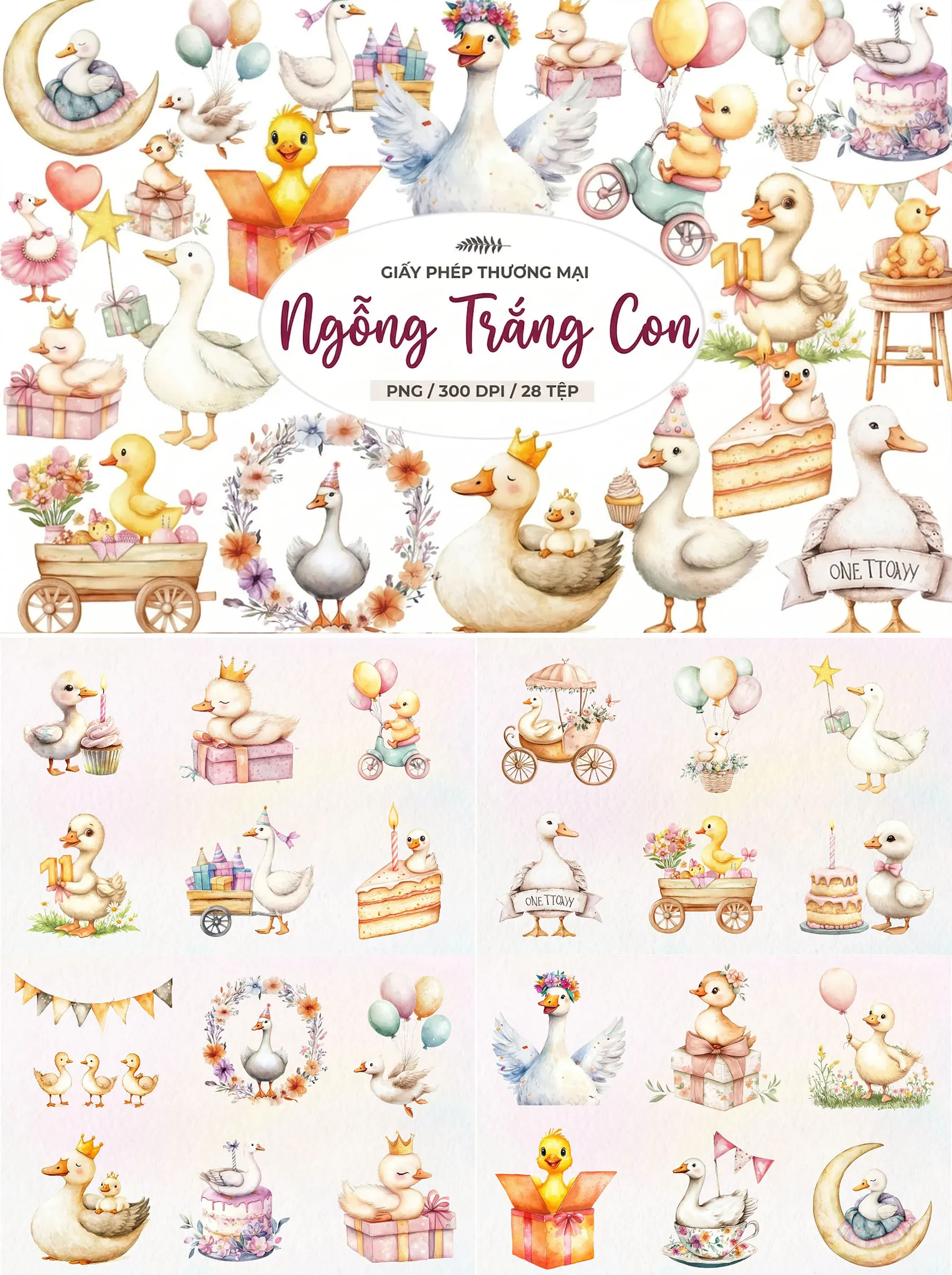 Bộ 28 Clipart Ngỗng Trắng Con Chúc Mừng Sinh Nhật