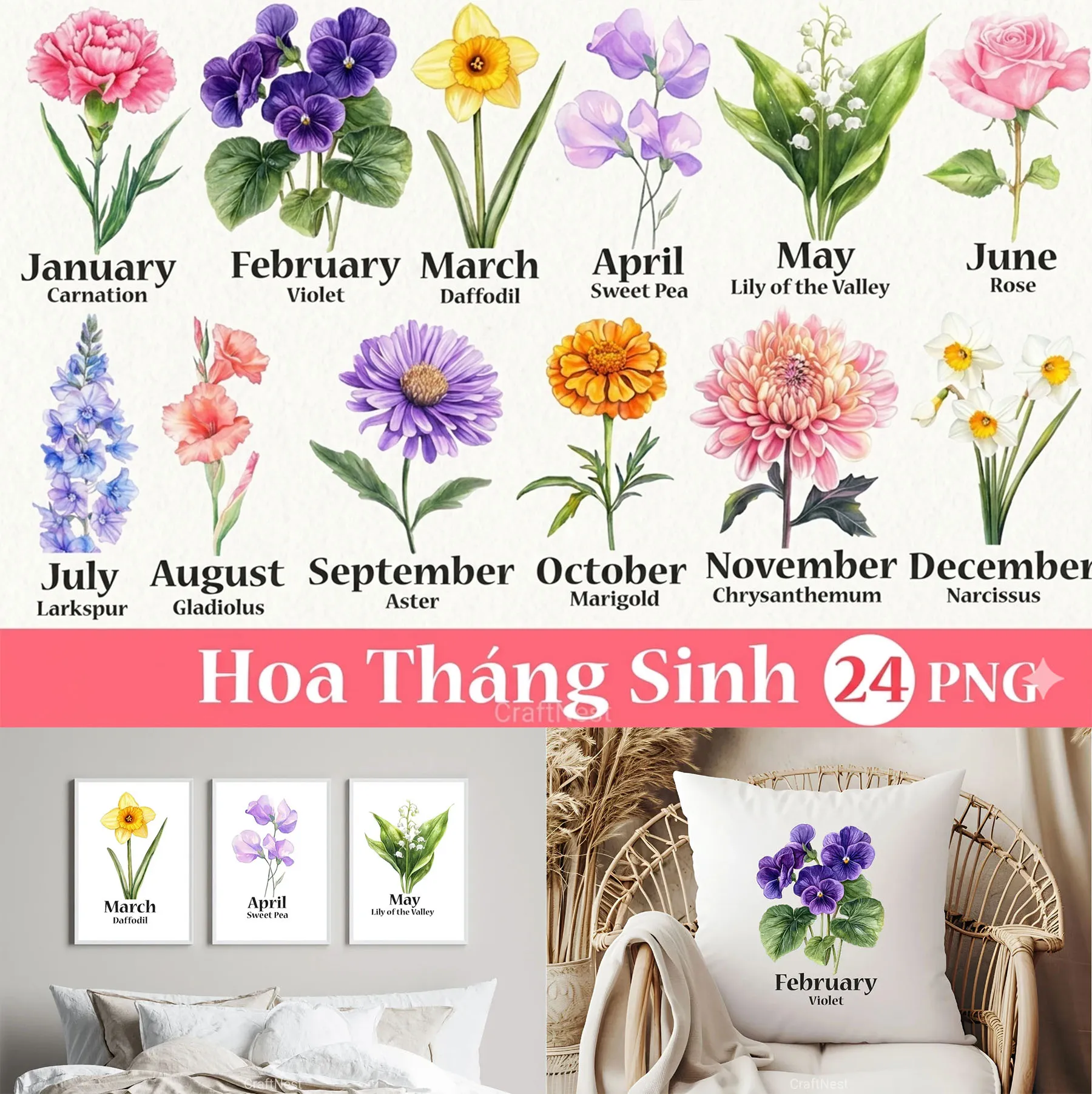 Bộ 24 File PNG Hoa Tháng Sinh Cổ Điển Màu Nước