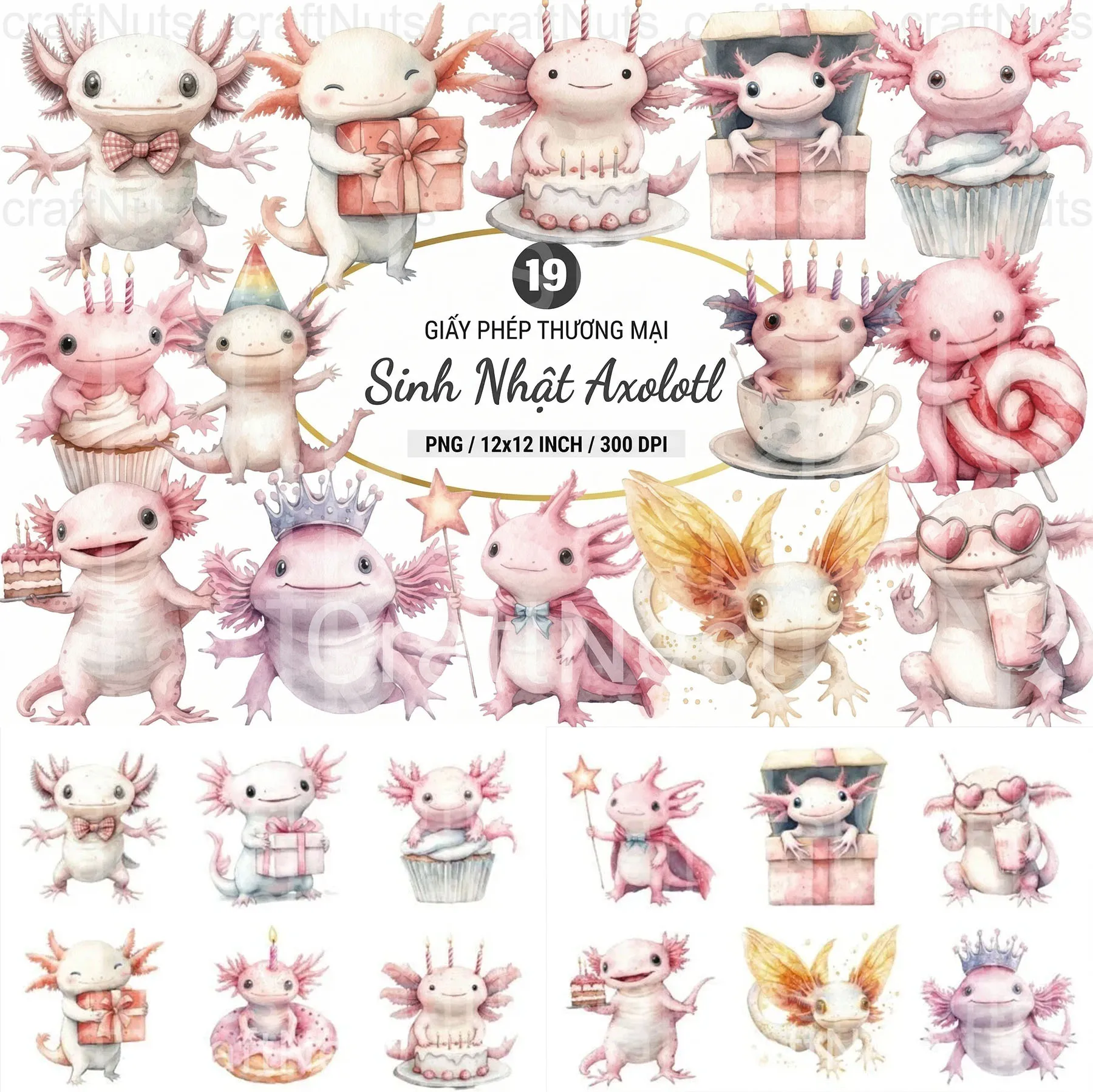 19 Clipart Axolotl Kỳ Giông Mexico Sinh Nhật Đáng Yêu