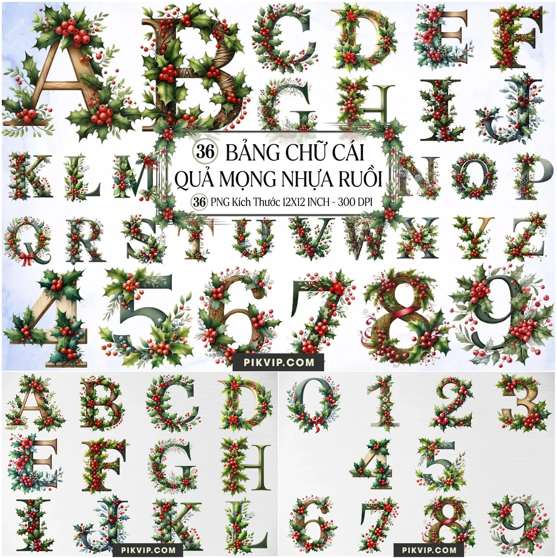 Bộ Bảng Chữ Cái Quả Mọng Nhựa Ruồi Giáng Sinh PNG 300DPI