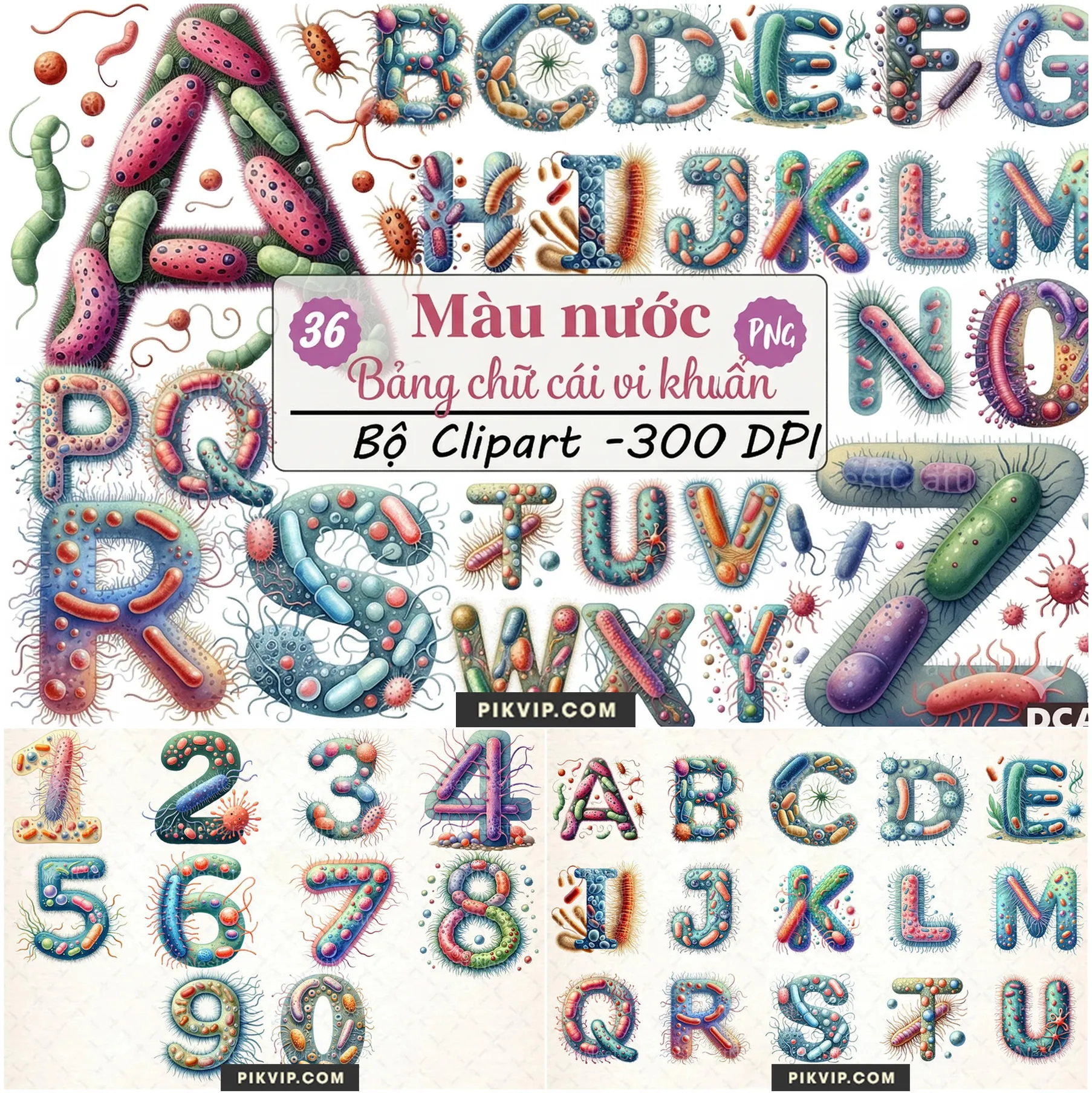 Bảng Chữ Cái Vi Khuẩn Màu Nước Độc Đáo Dành Cho Thiết Kế Y Tế