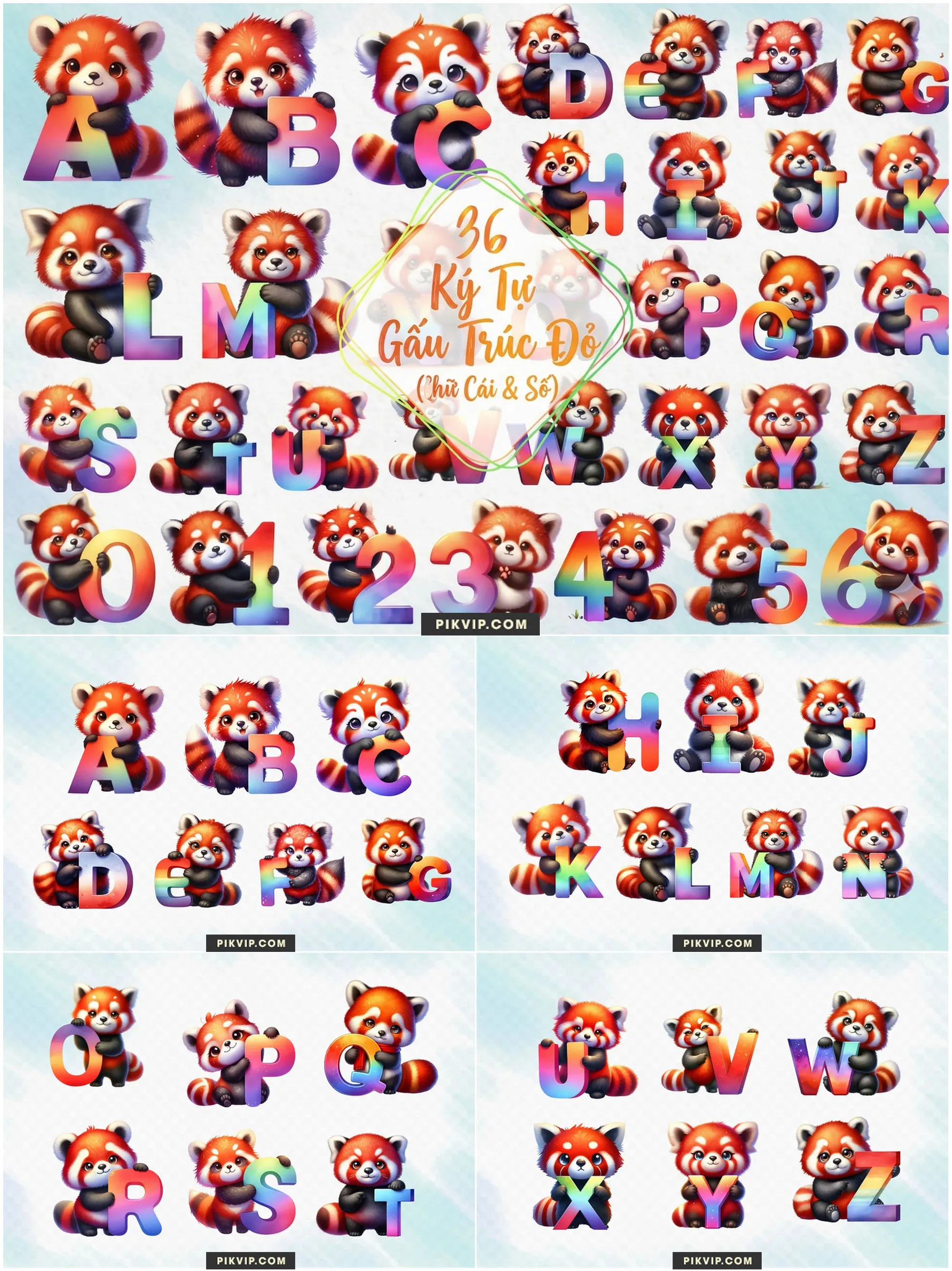 Bảng Chữ Cái Và Số Gấu Trúc Đỏ Chibi Đáng Yêu