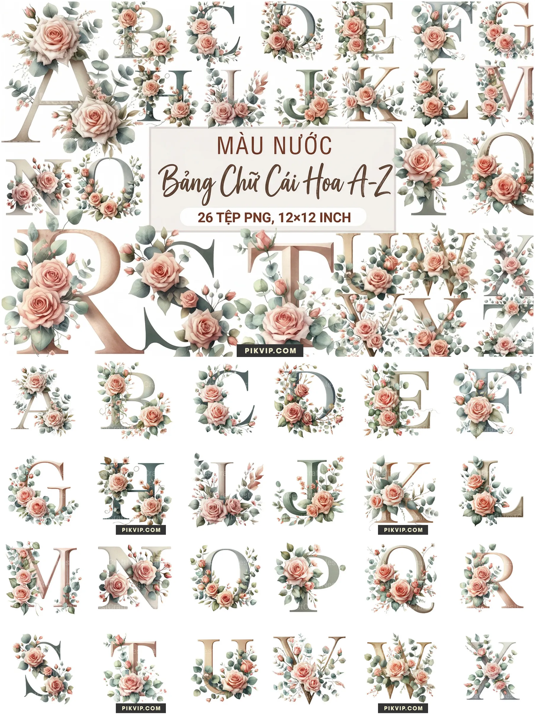 Bảng Chữ Cái Hoa Hồng Cổ Điển Tone Màu Pastel