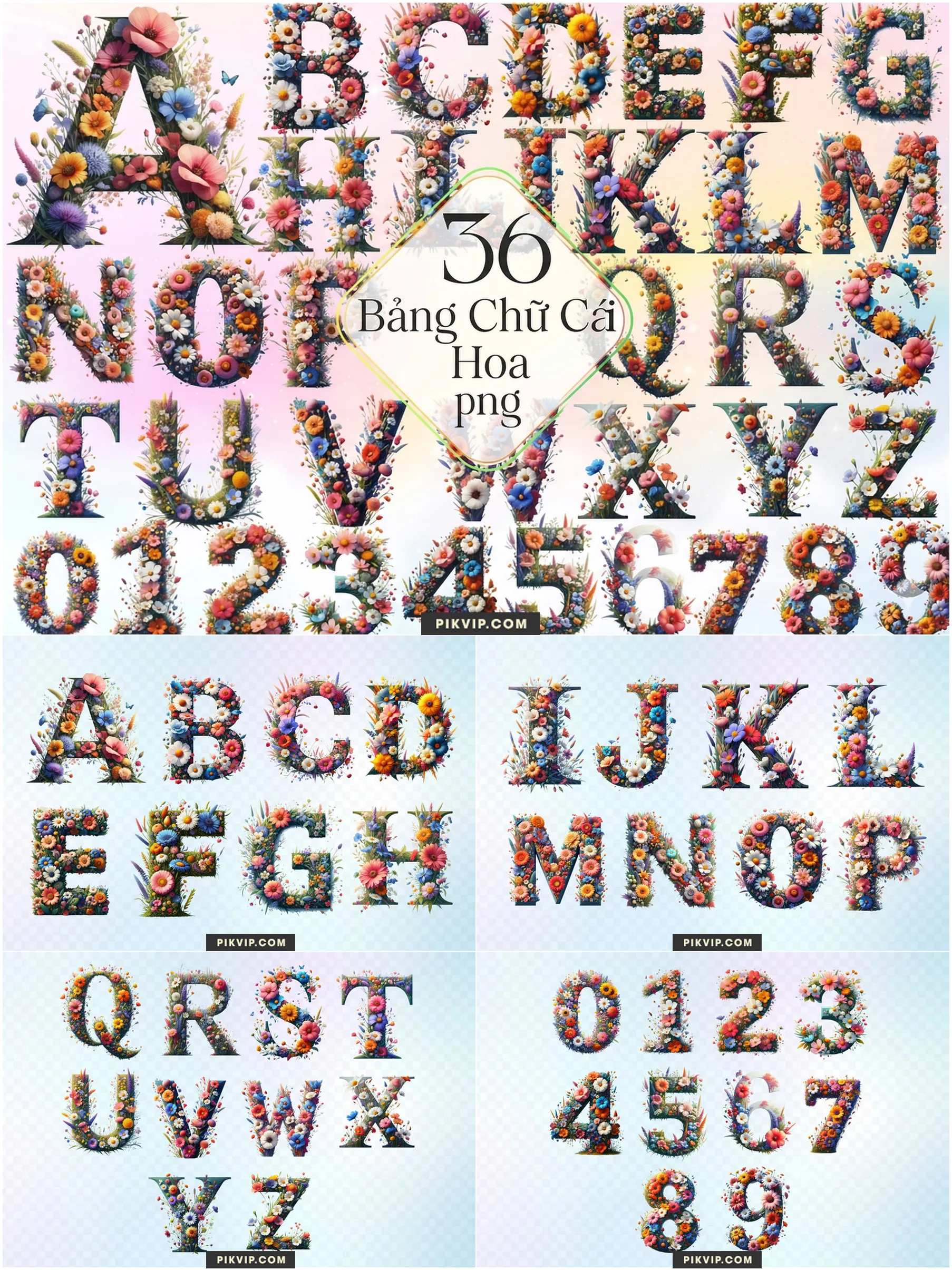 Bảng Chữ Cái Ghép Từ Hàng Ngàn Đóa Hoa Mùa Xuân Đa Sắc
